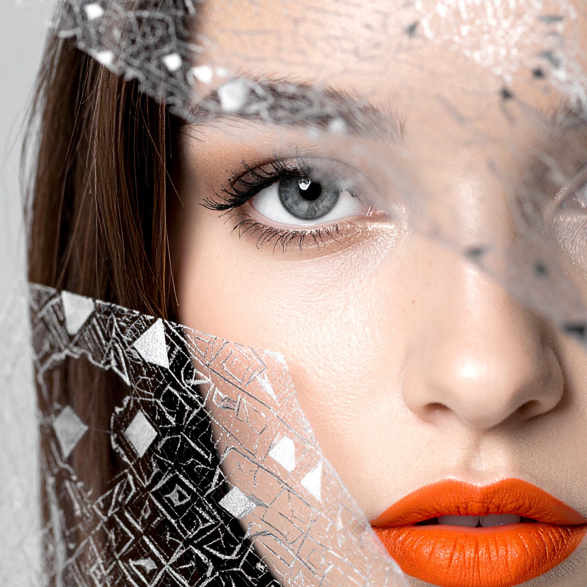 "Inspiration The Geometric Veil"