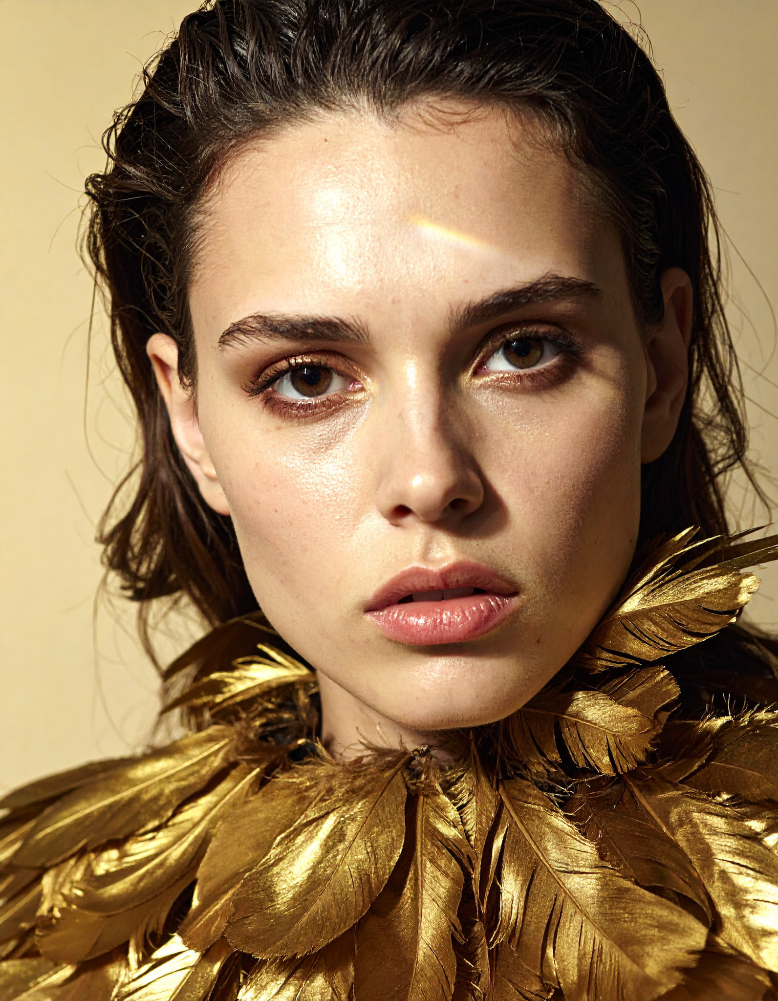 "Inspiration The Golden Armour"