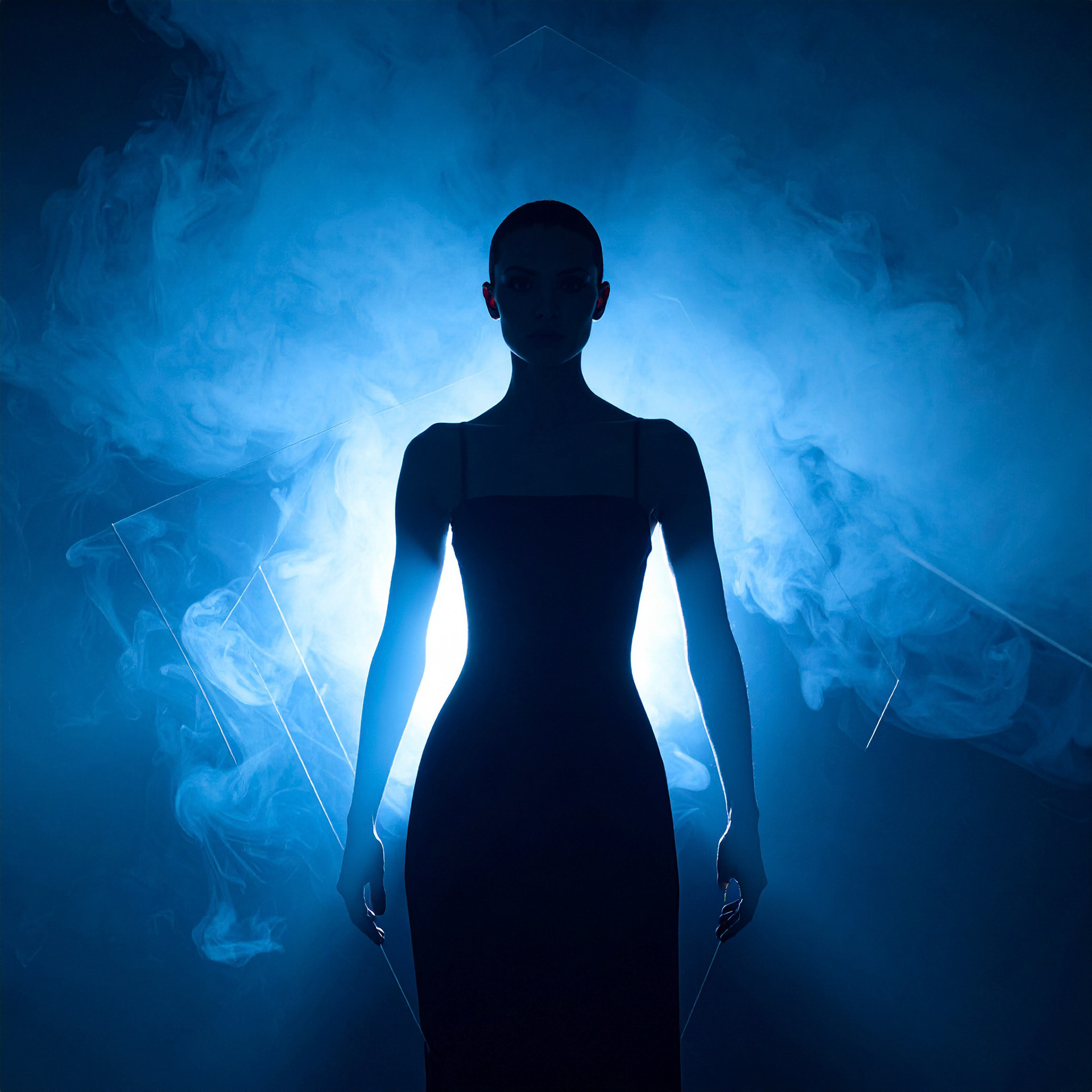 "Inspiration Shadow Musa"