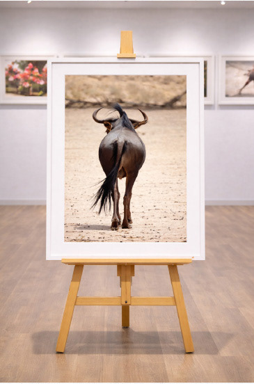 A3 Wildlife prints