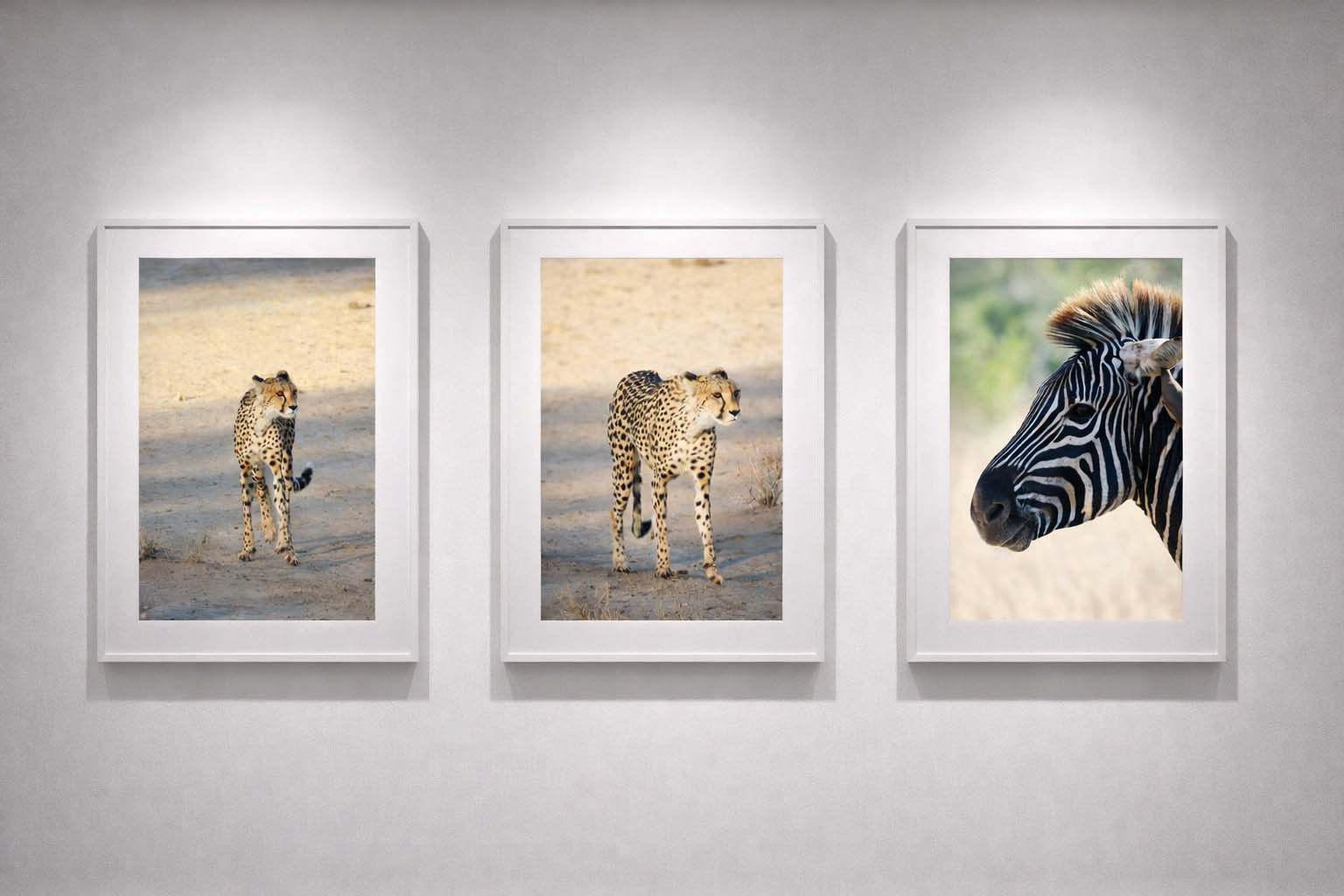 Image 1 0| Image 11 | Image 12
