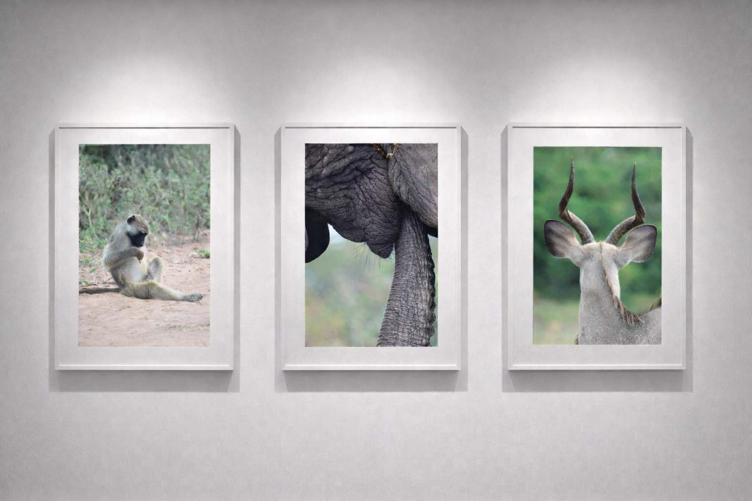 Image 1 | Image 2 | Image 3