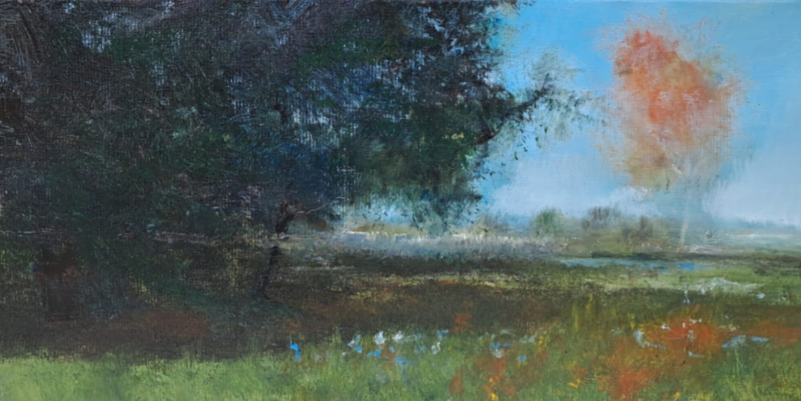 Plaine 24 x 41