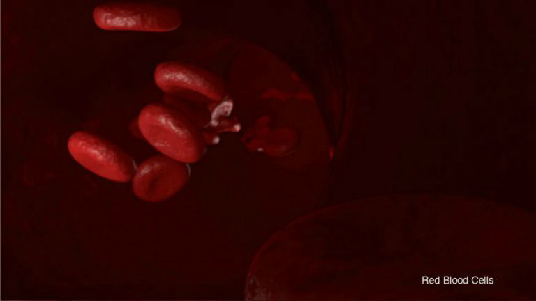 CSI:Miami S3 - Medical Animations - Maya & After Effects
