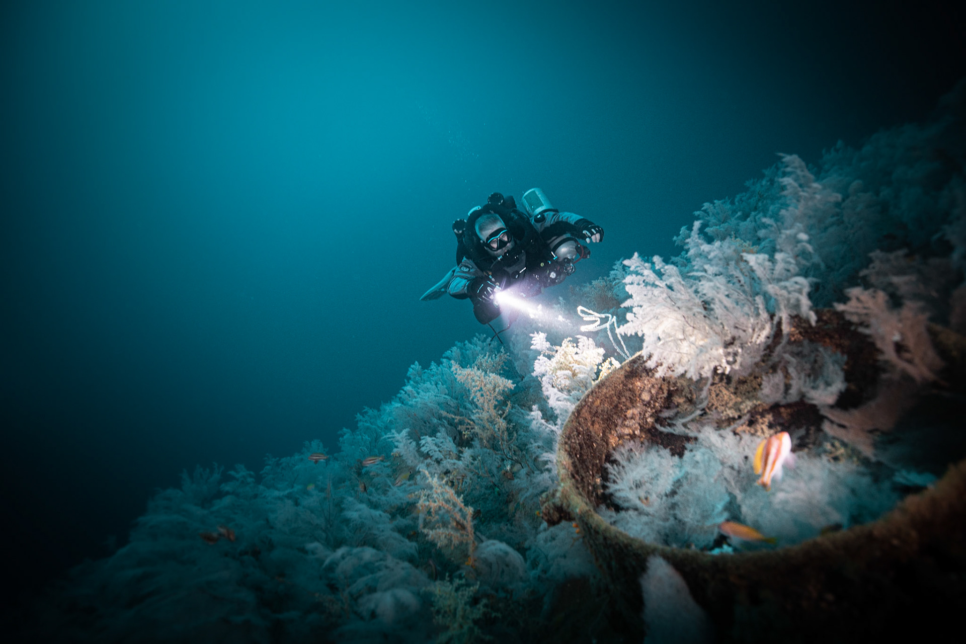 Ines Wreck -70m