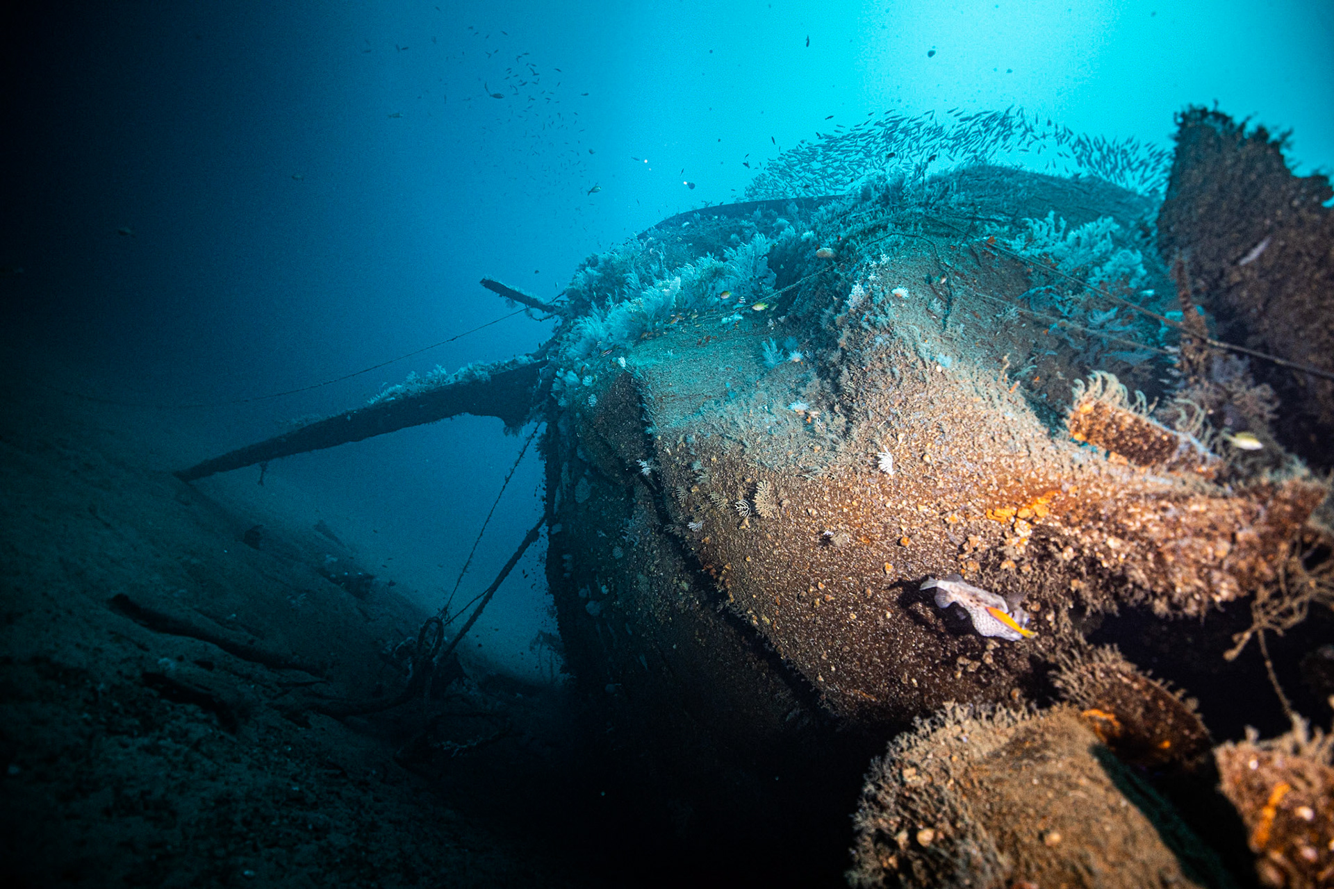 Ines Wreck -70m