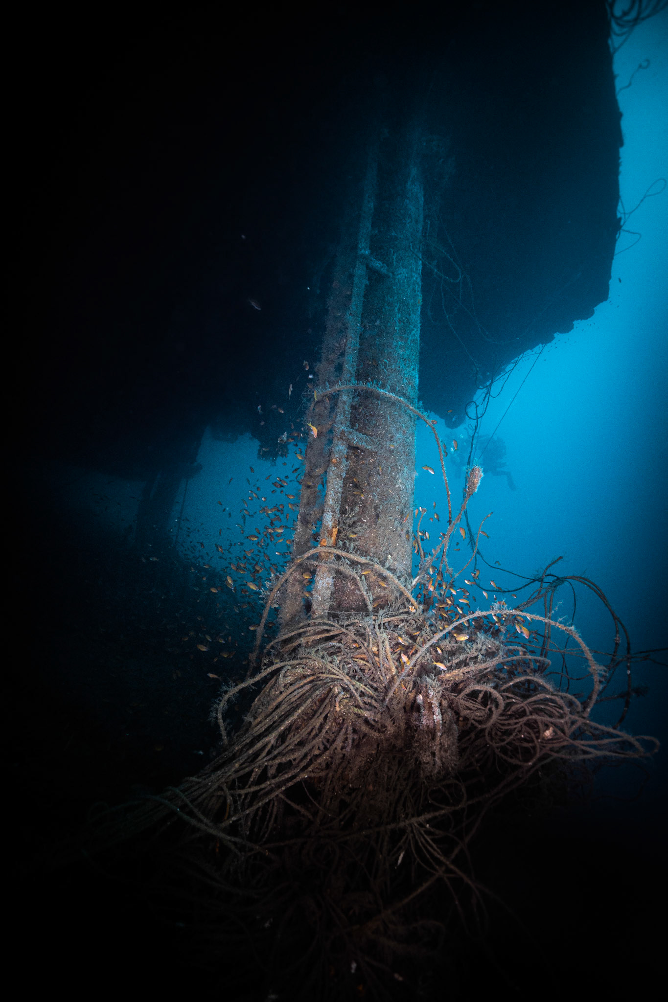 Ines Wreck -70m
