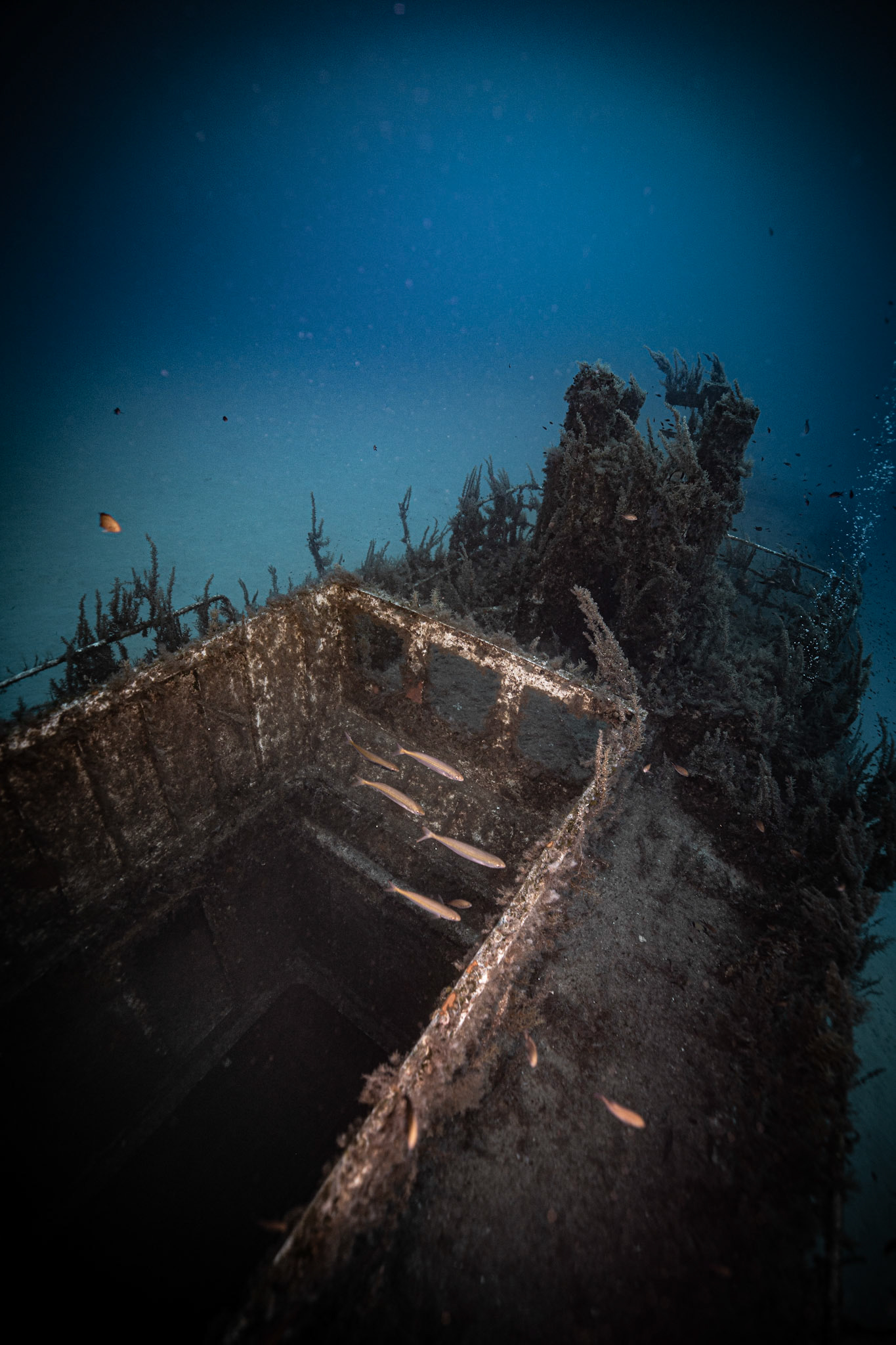 submarine wreck