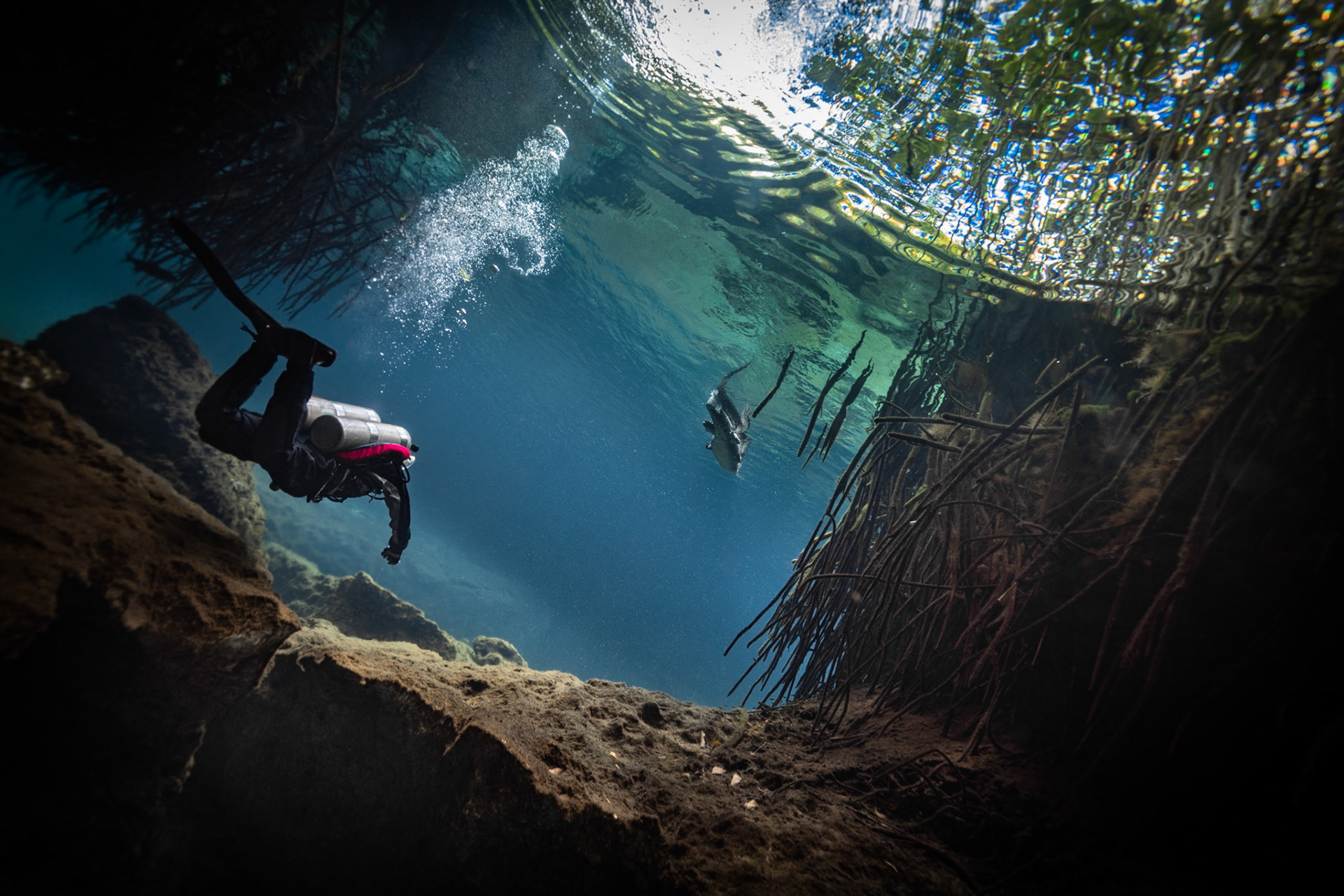 Casa Cenote