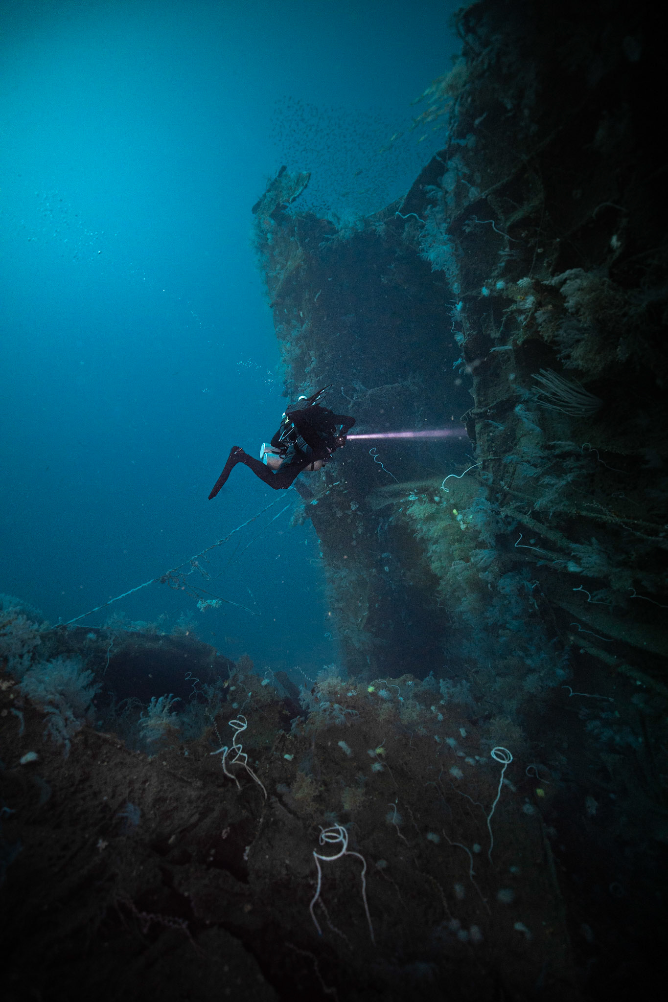 Ines Wreck -70m