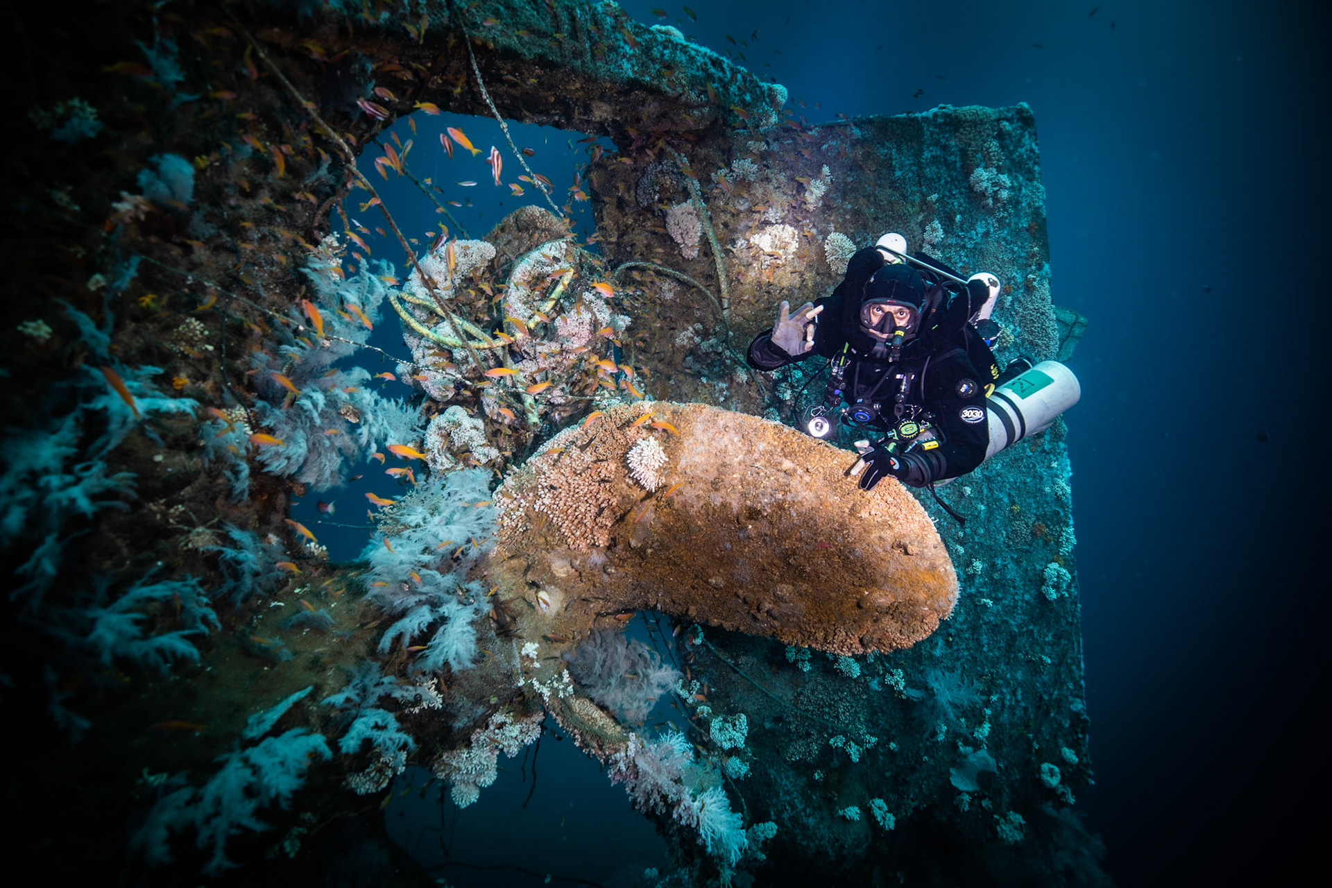 Ines Wreck -70m