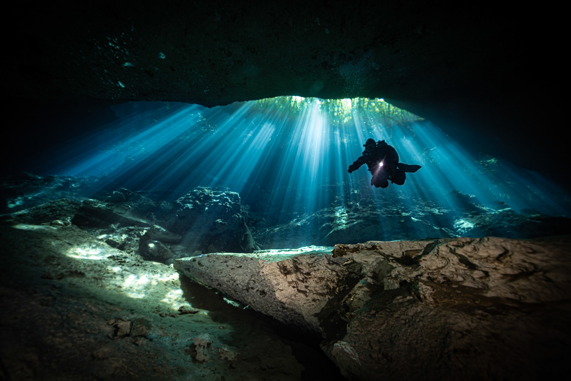 Cenote Jardin del Eden