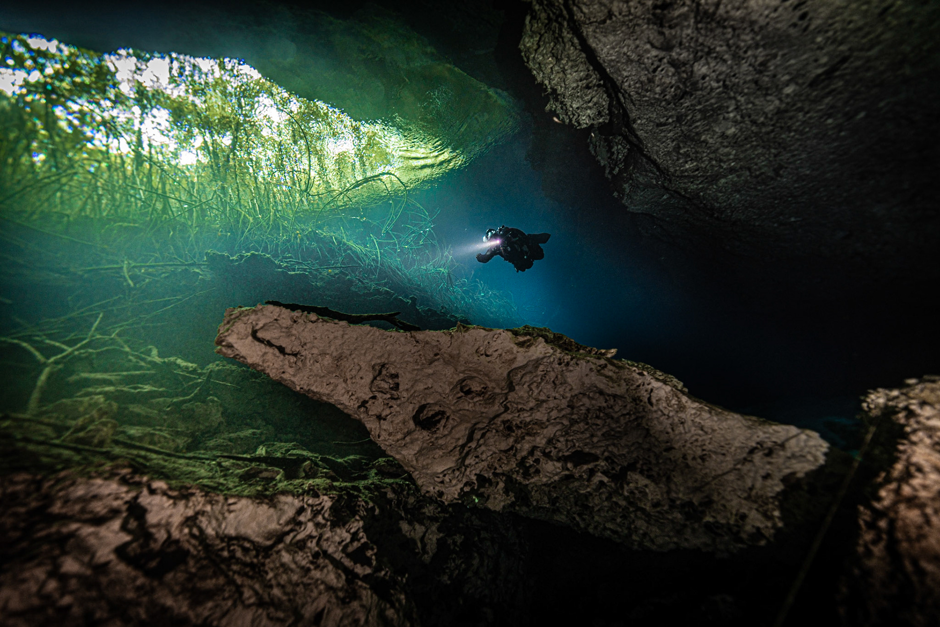 Cenote Jardin del Eden