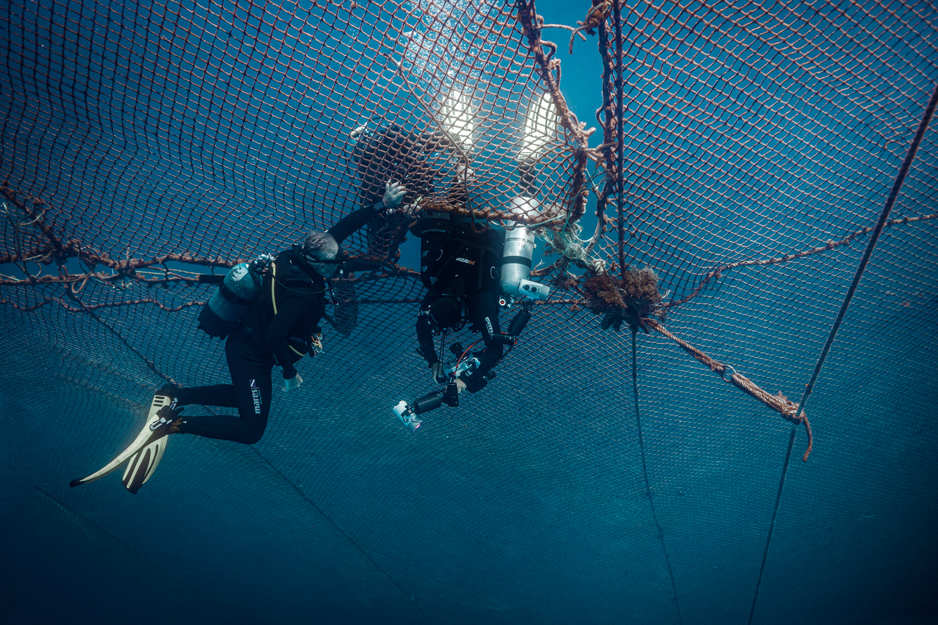 Tuna farm