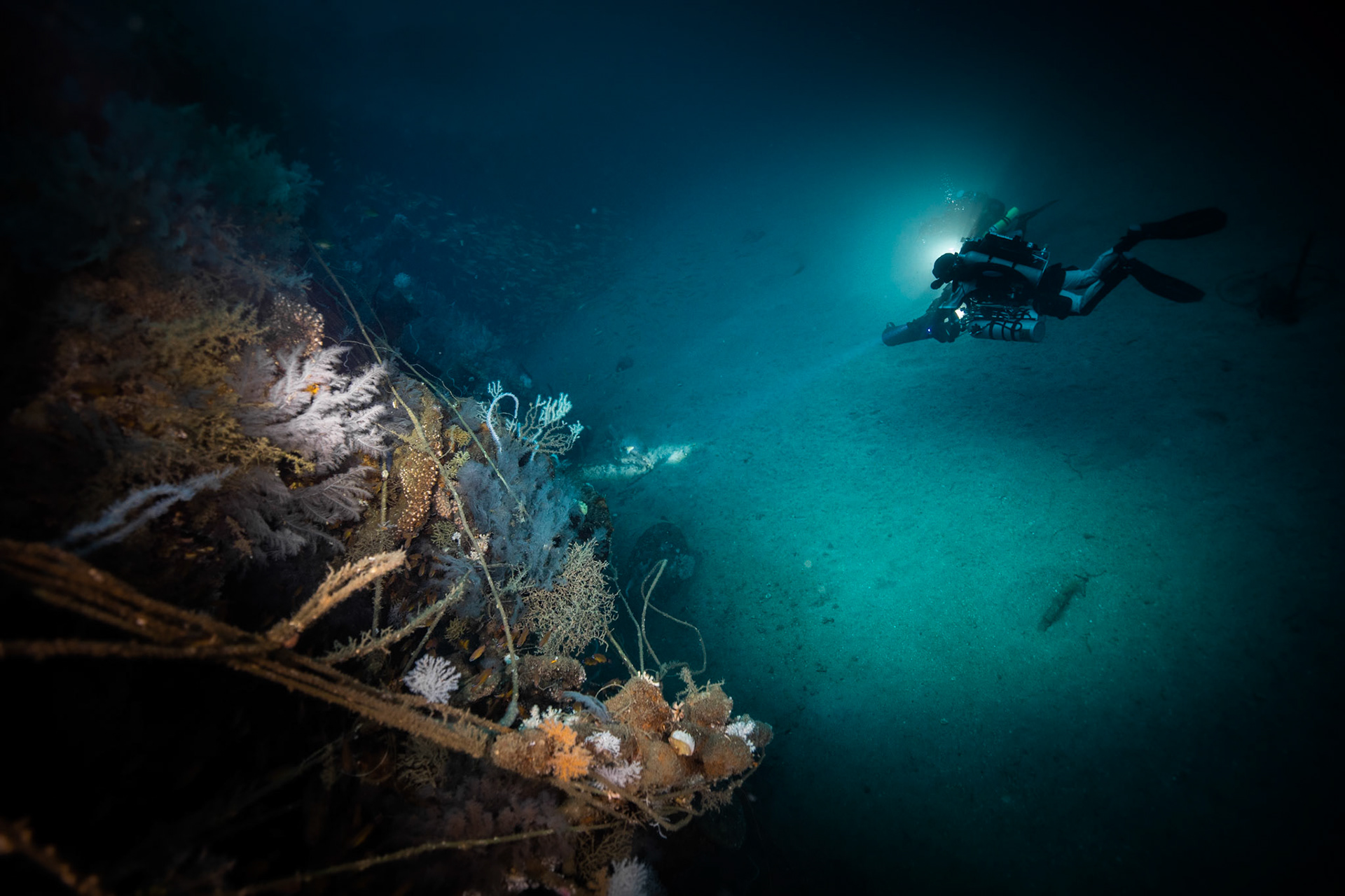Ines Wreck -70m