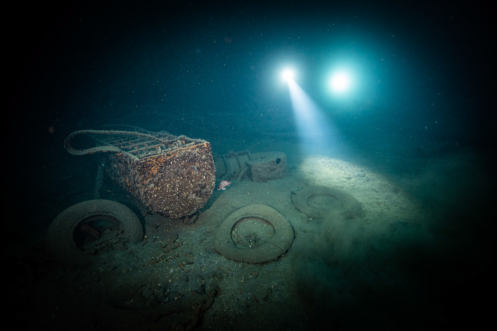 Ines Wreck -70m