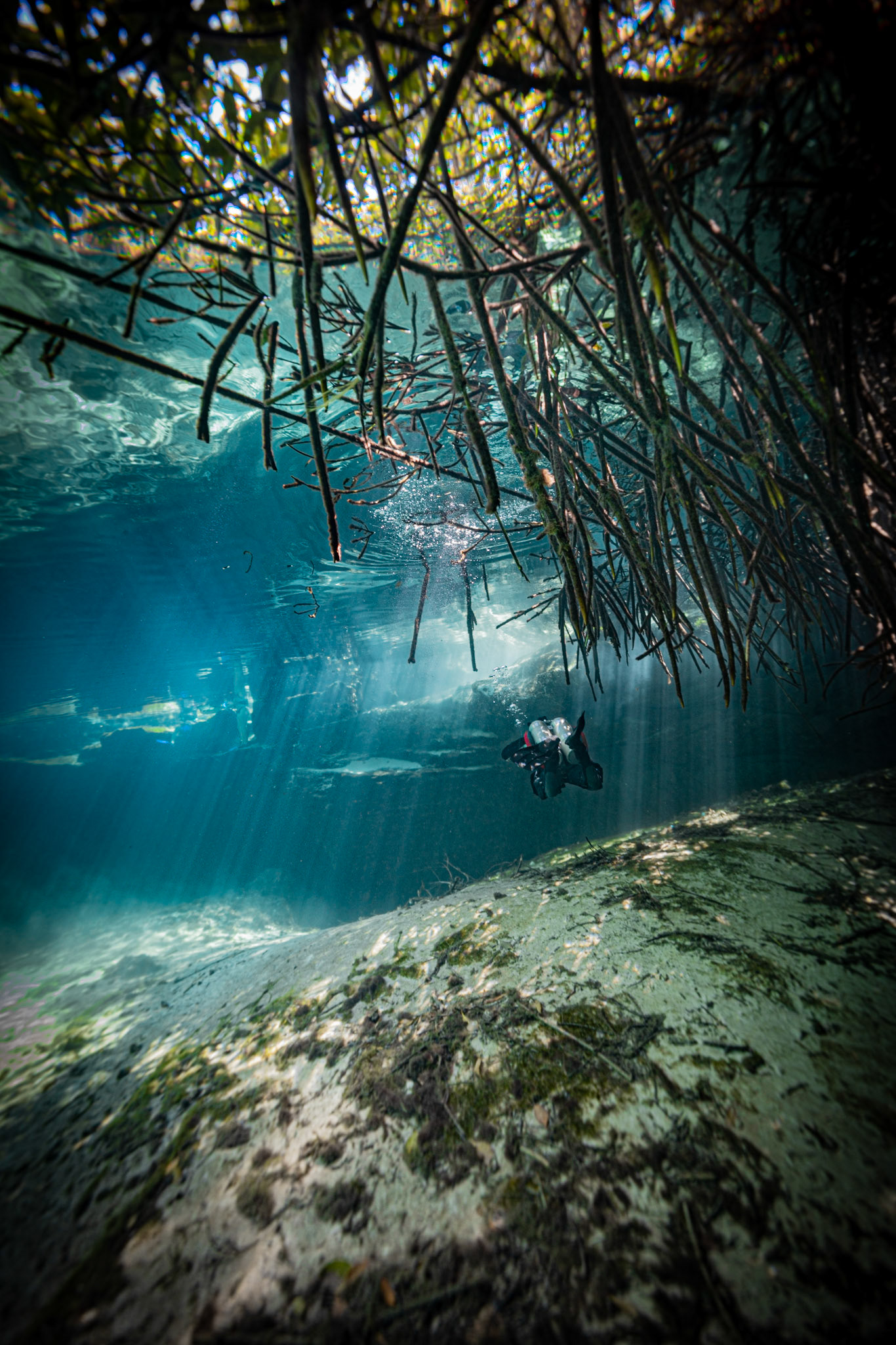 Casa Cenote