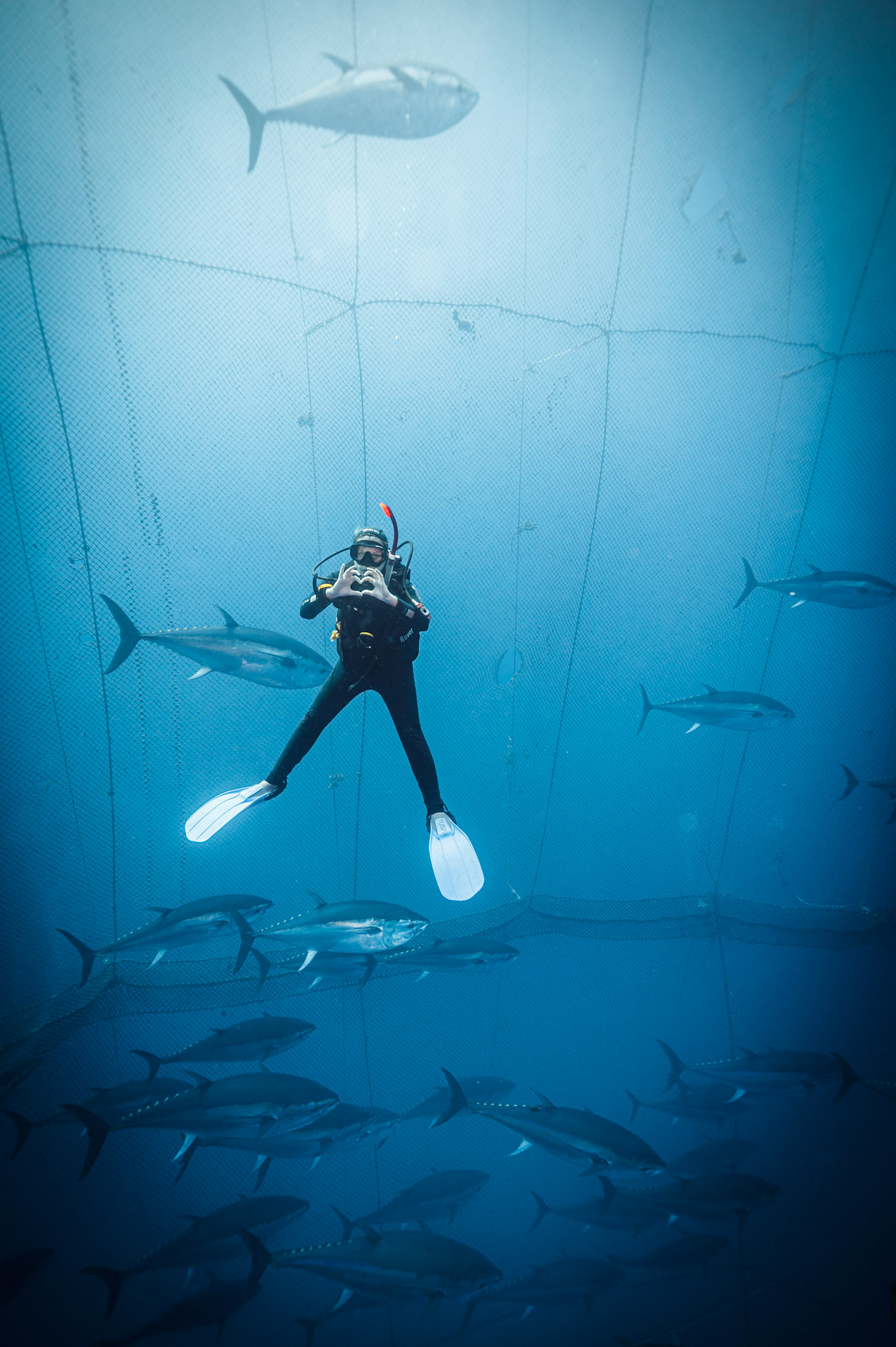 Tuna farm