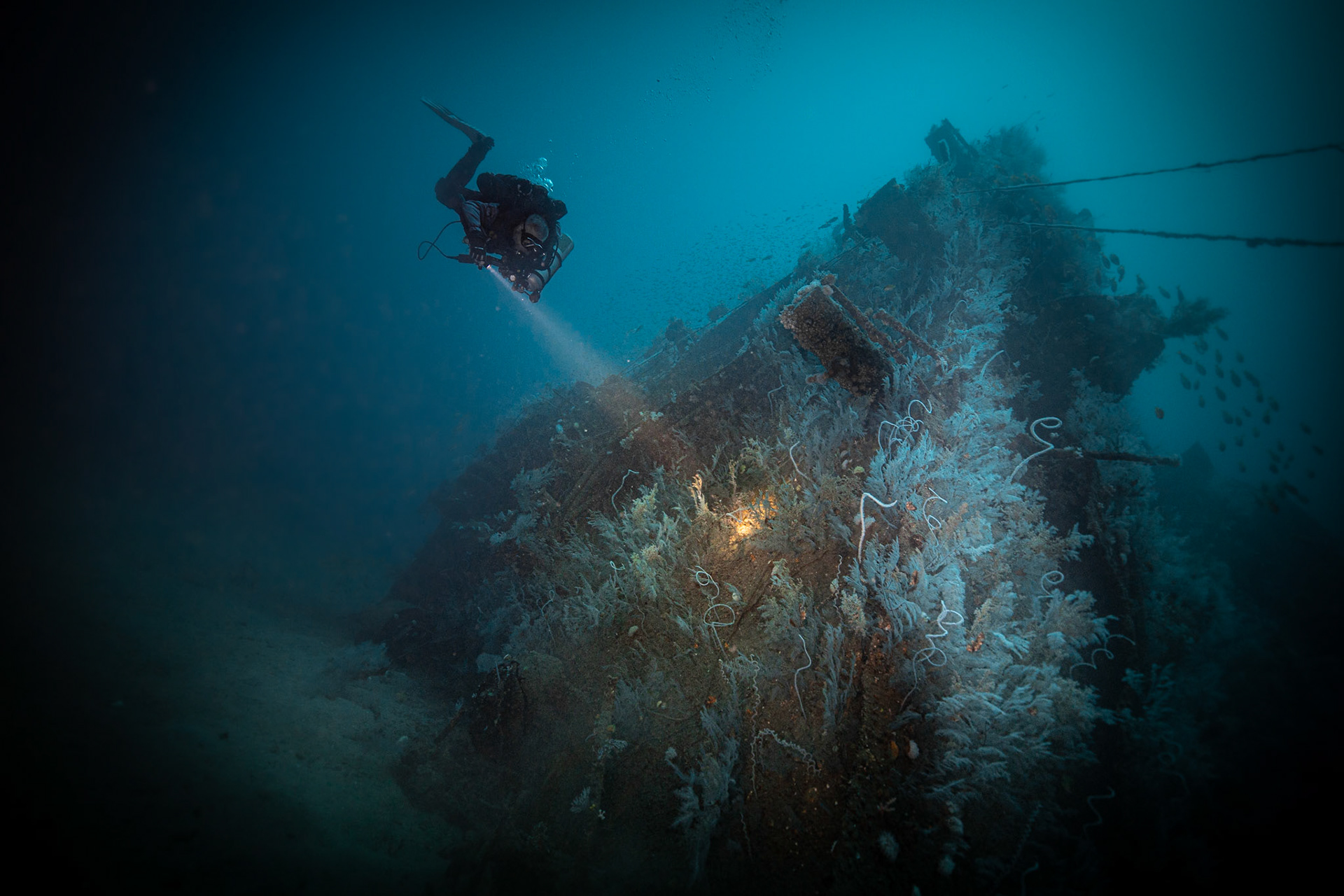 Ines Wreck -70m