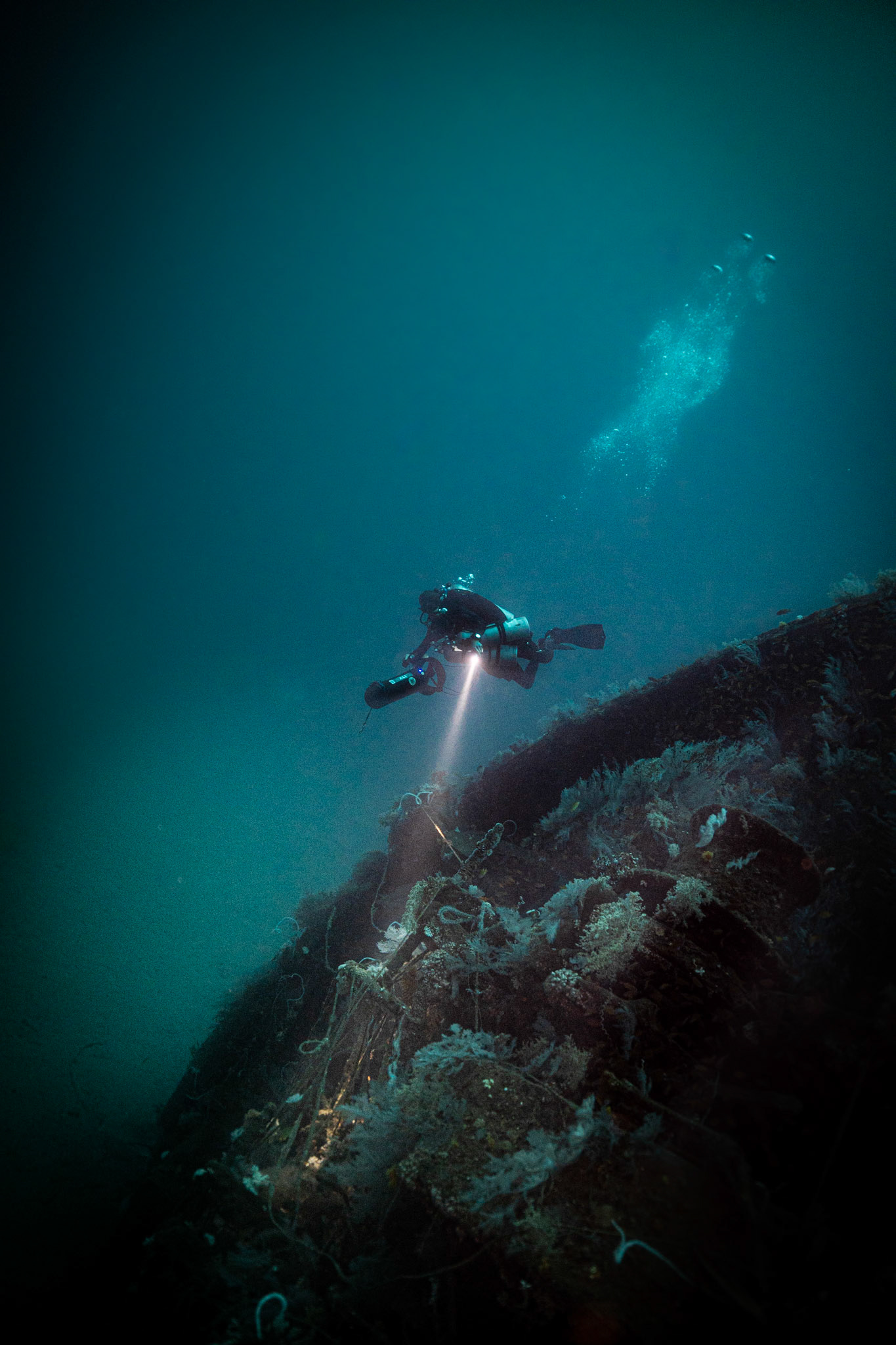 Ines Wreck -70m