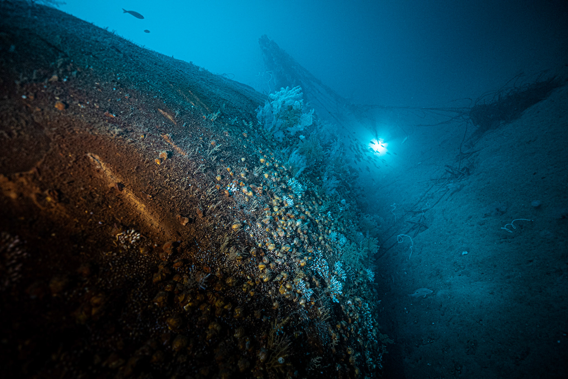 Ines Wreck -70m