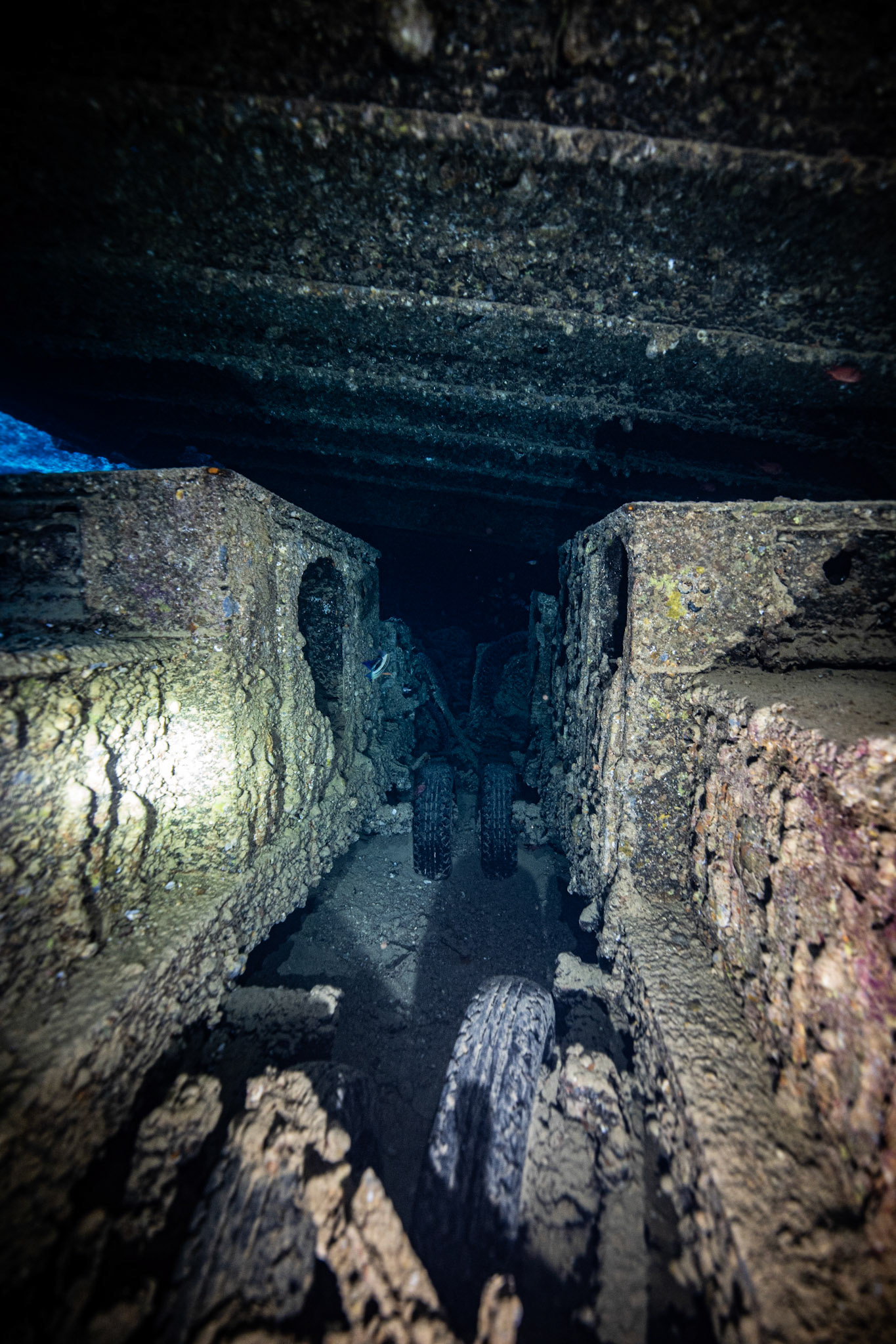 Thistlegorm Wreck
