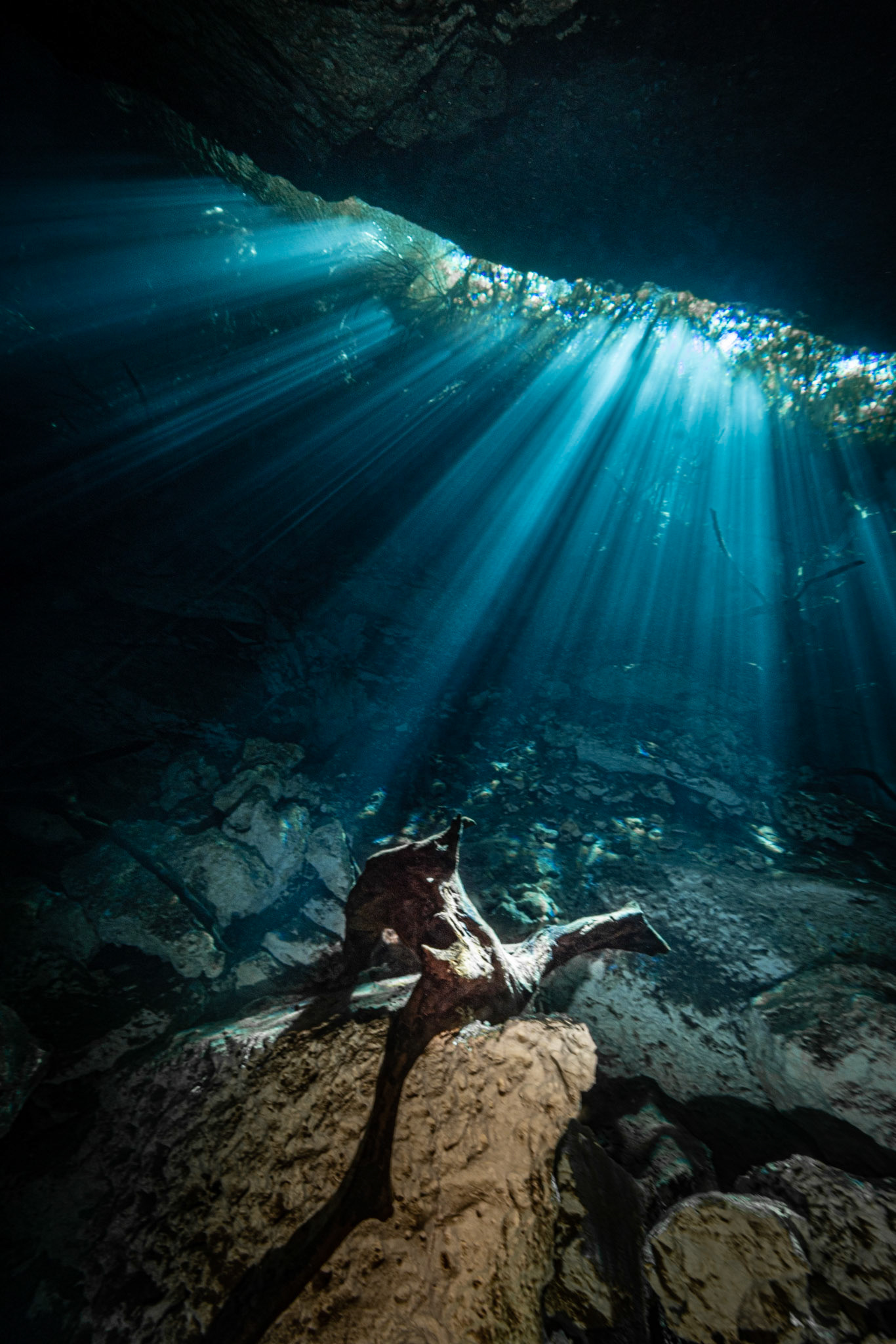 Cenote Jardin del Eden