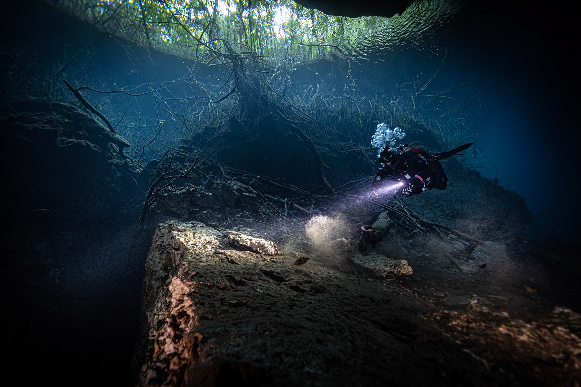 Cenote Jardin del Eden