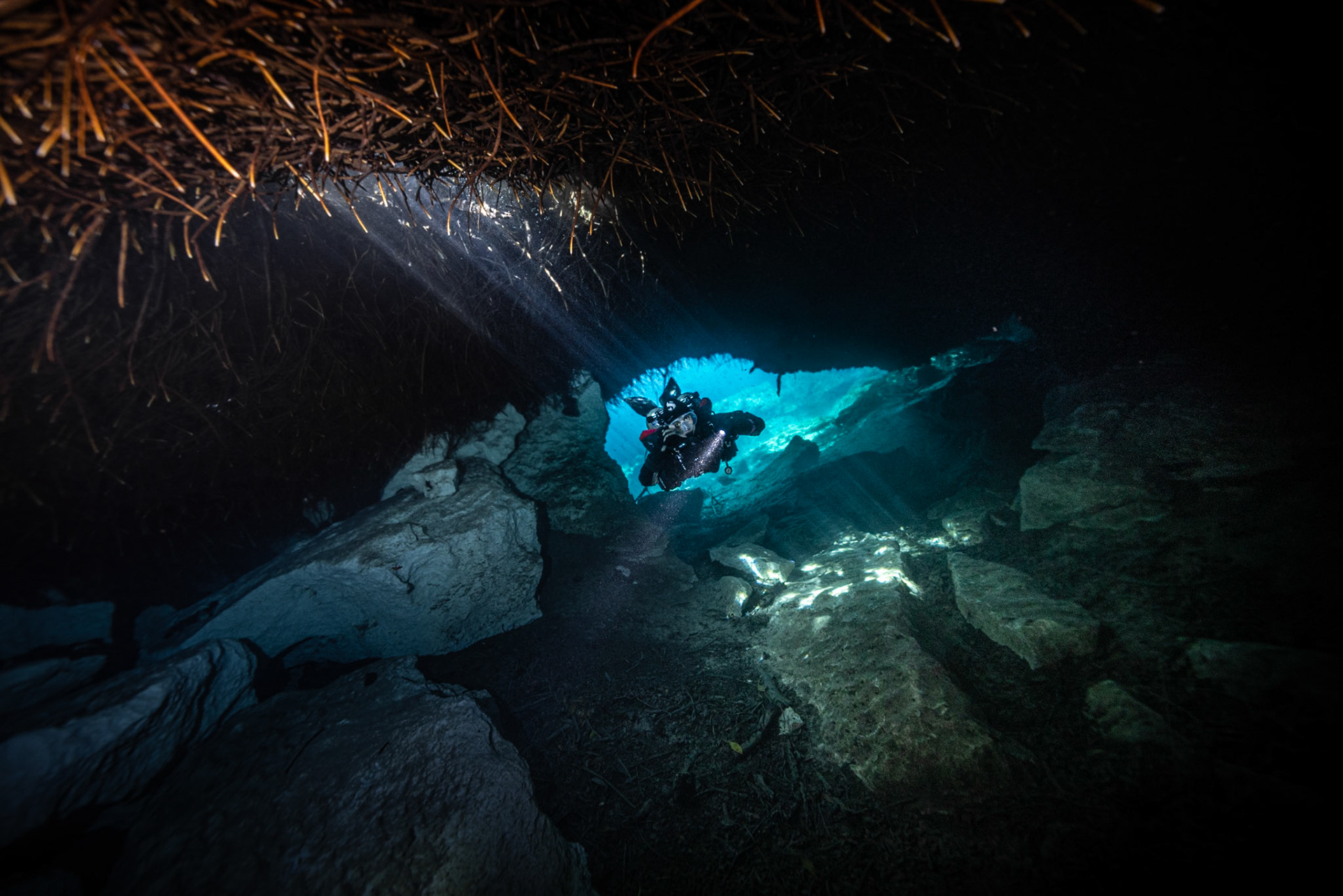 Casa Cenote