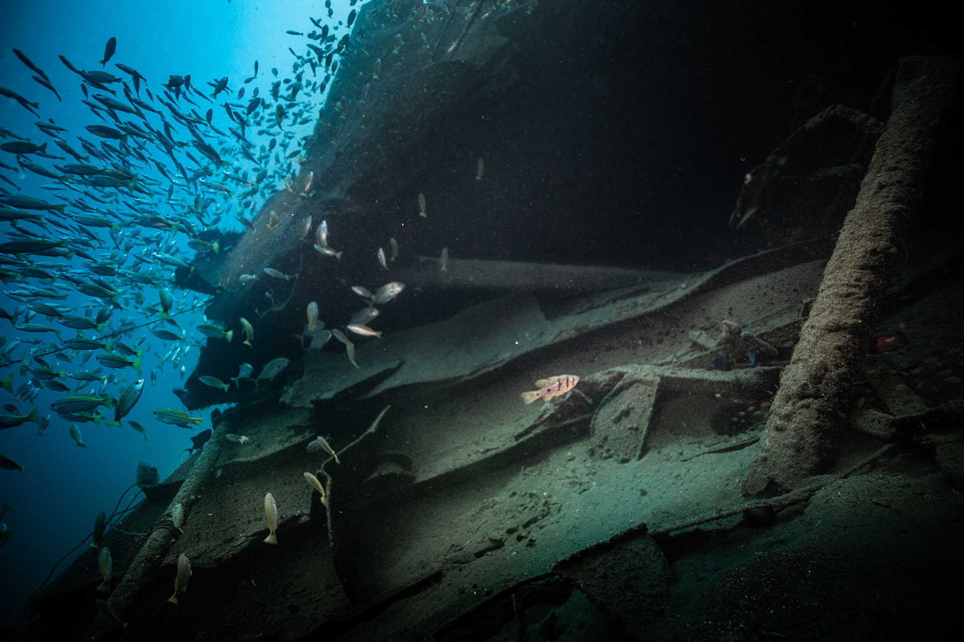 Ines Wreck -70m