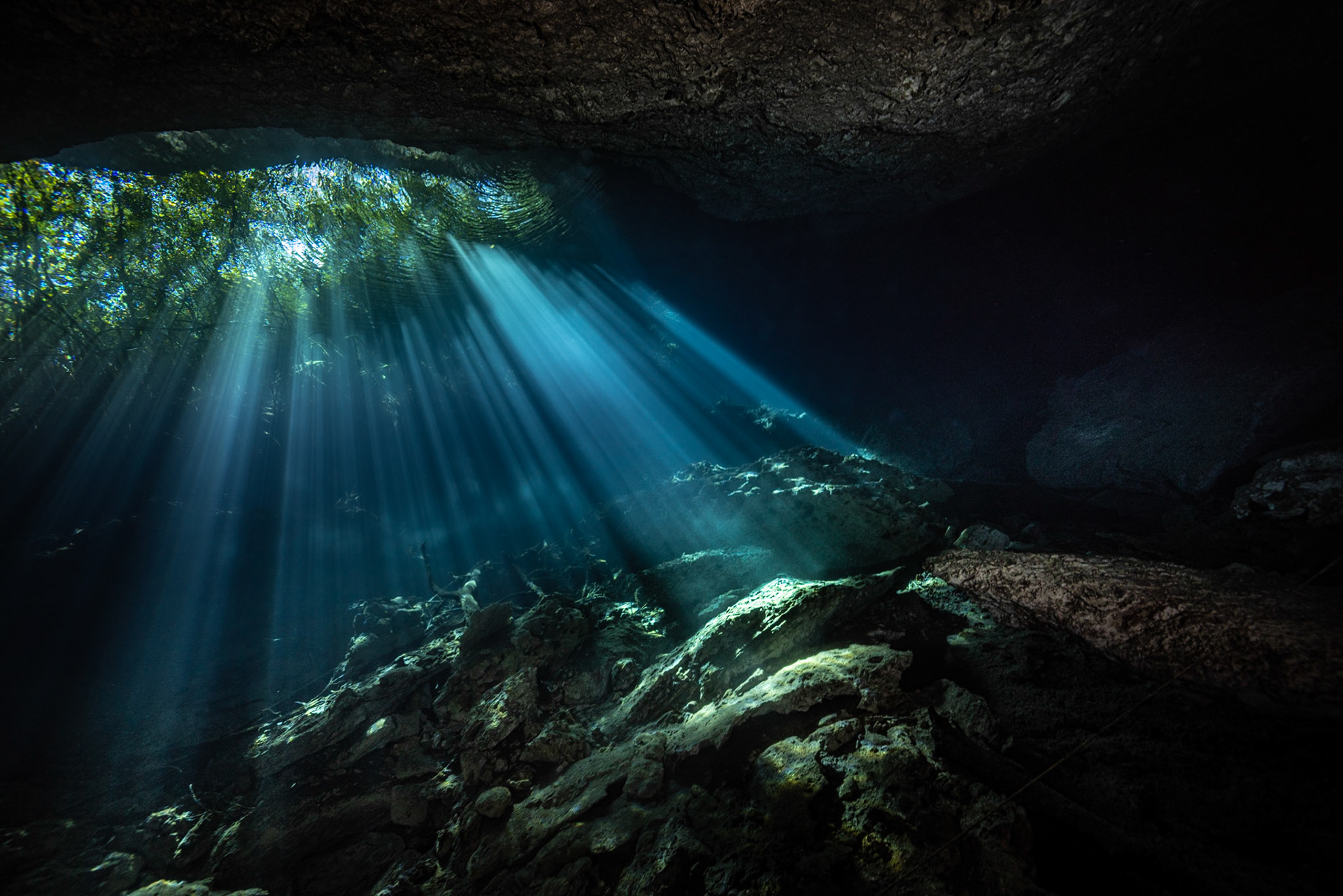 Cenote Jardin del Eden