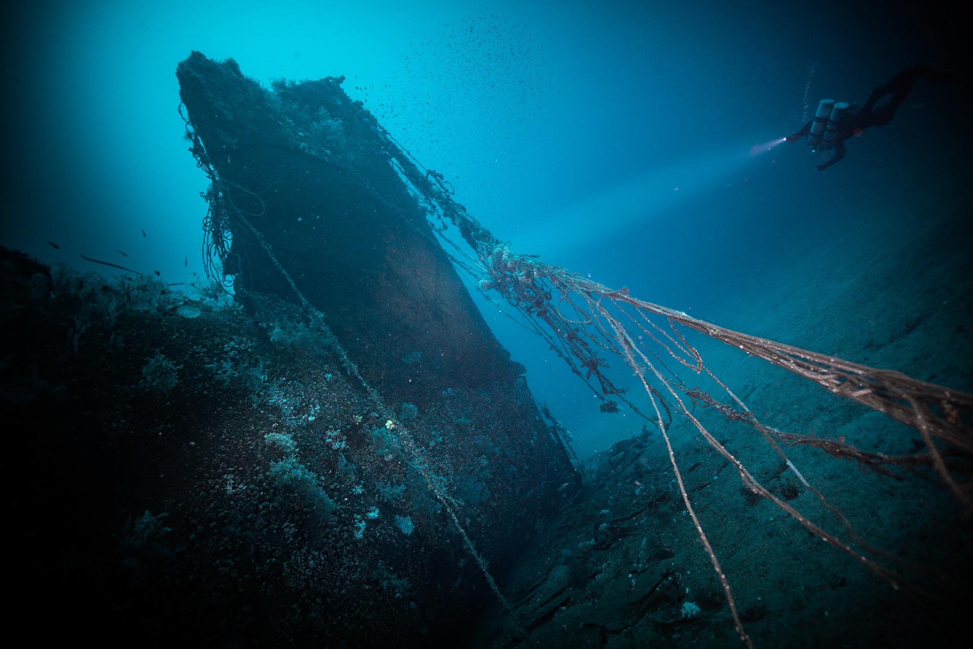 Ines Wreck -70m