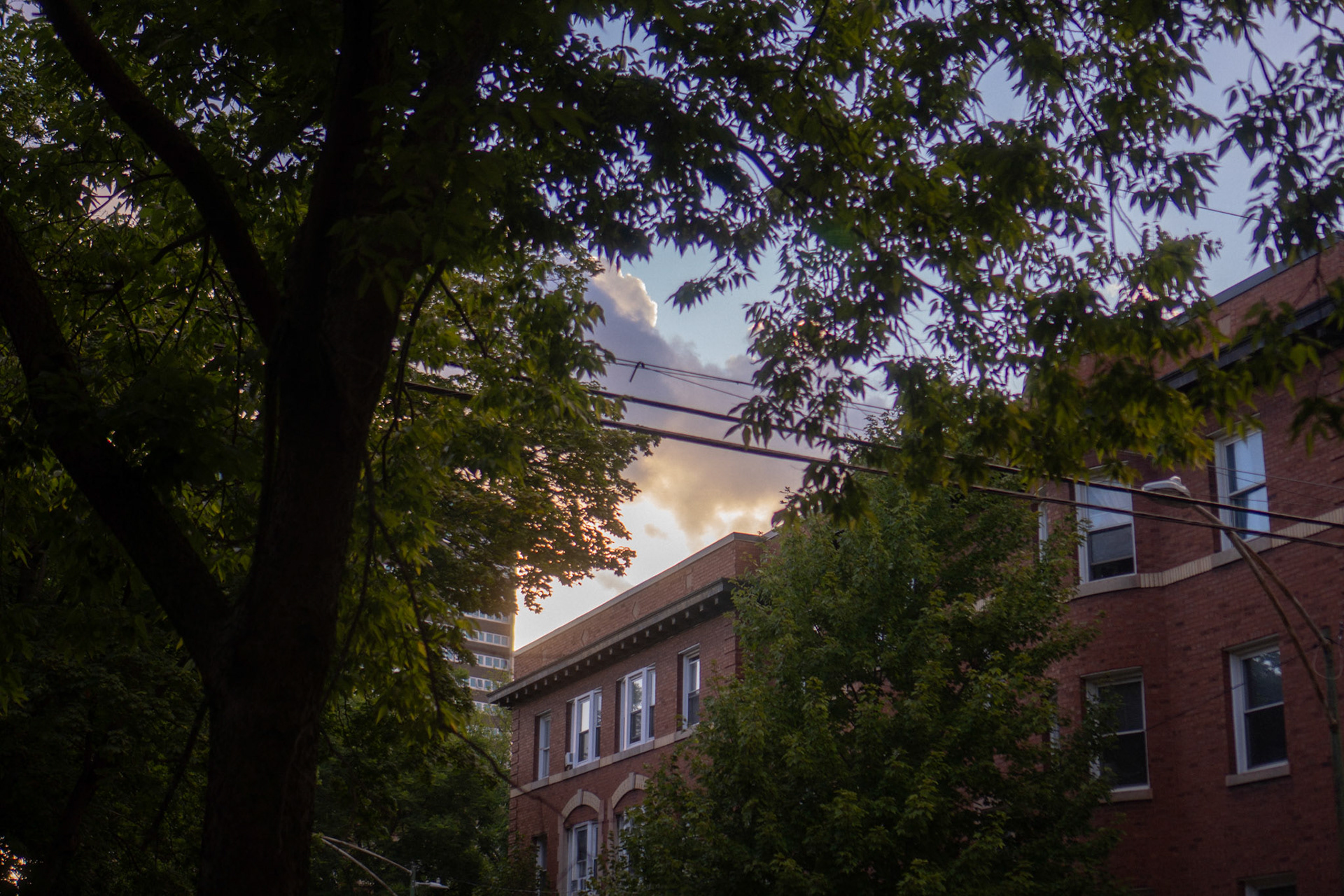 the way the light spilled between these two buildings just drew my eye to it perfectly - and the rich pinkish orange hues of the sunset against the red brick