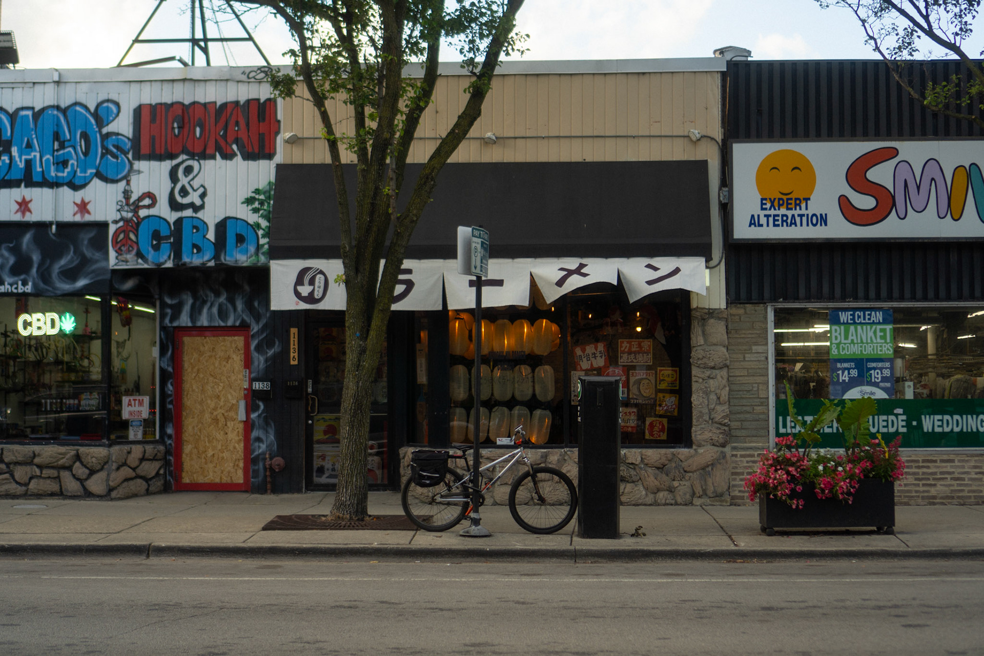Lanterns in a storefront.