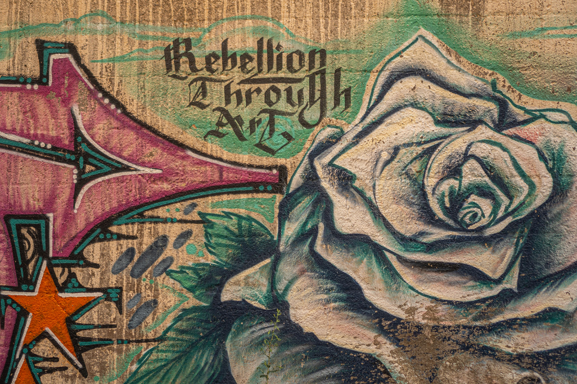 Rebellion through art - I loved the vivid greens and whites and pinks here.