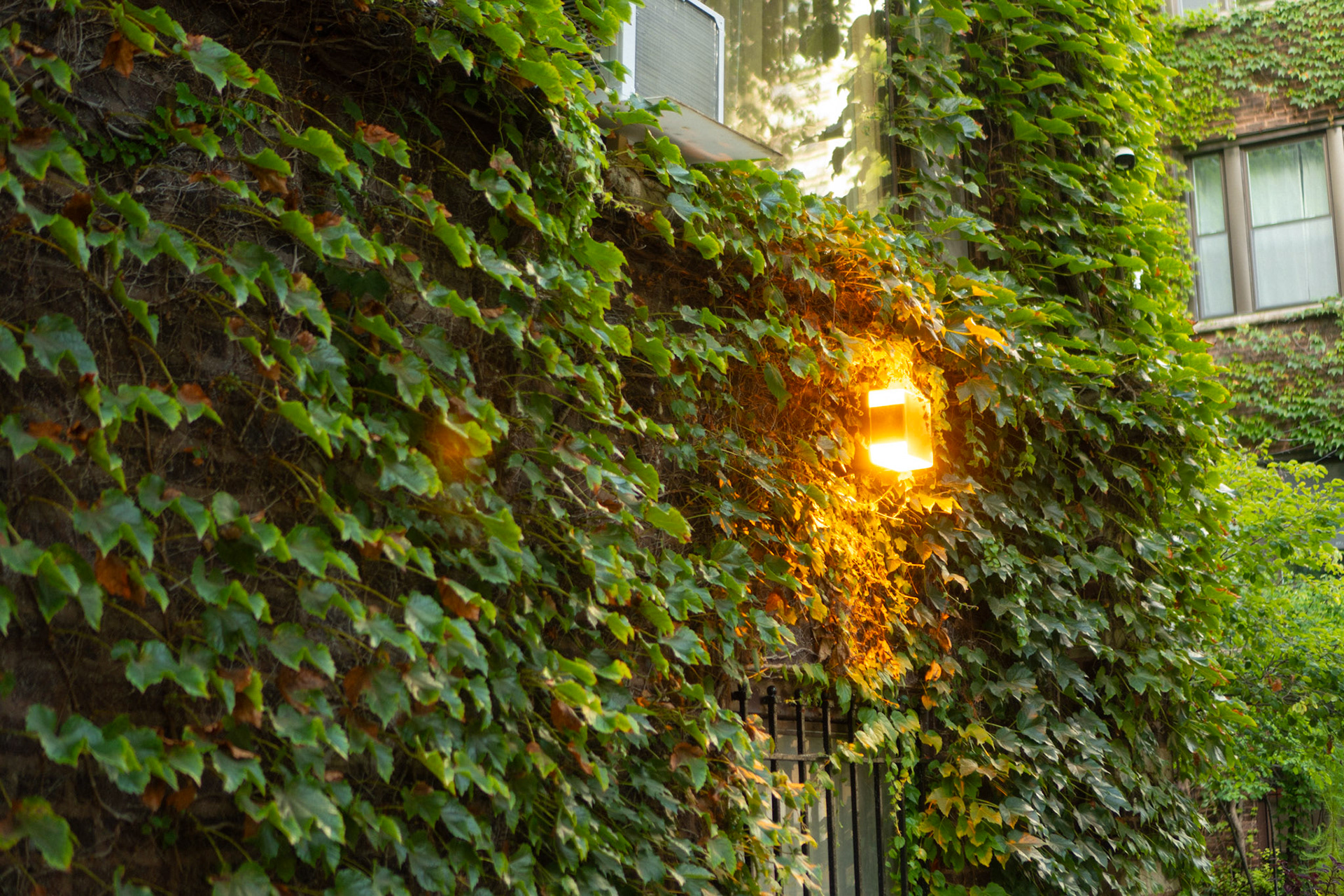 you would be forgiven in thinking you were anywhere but chicago