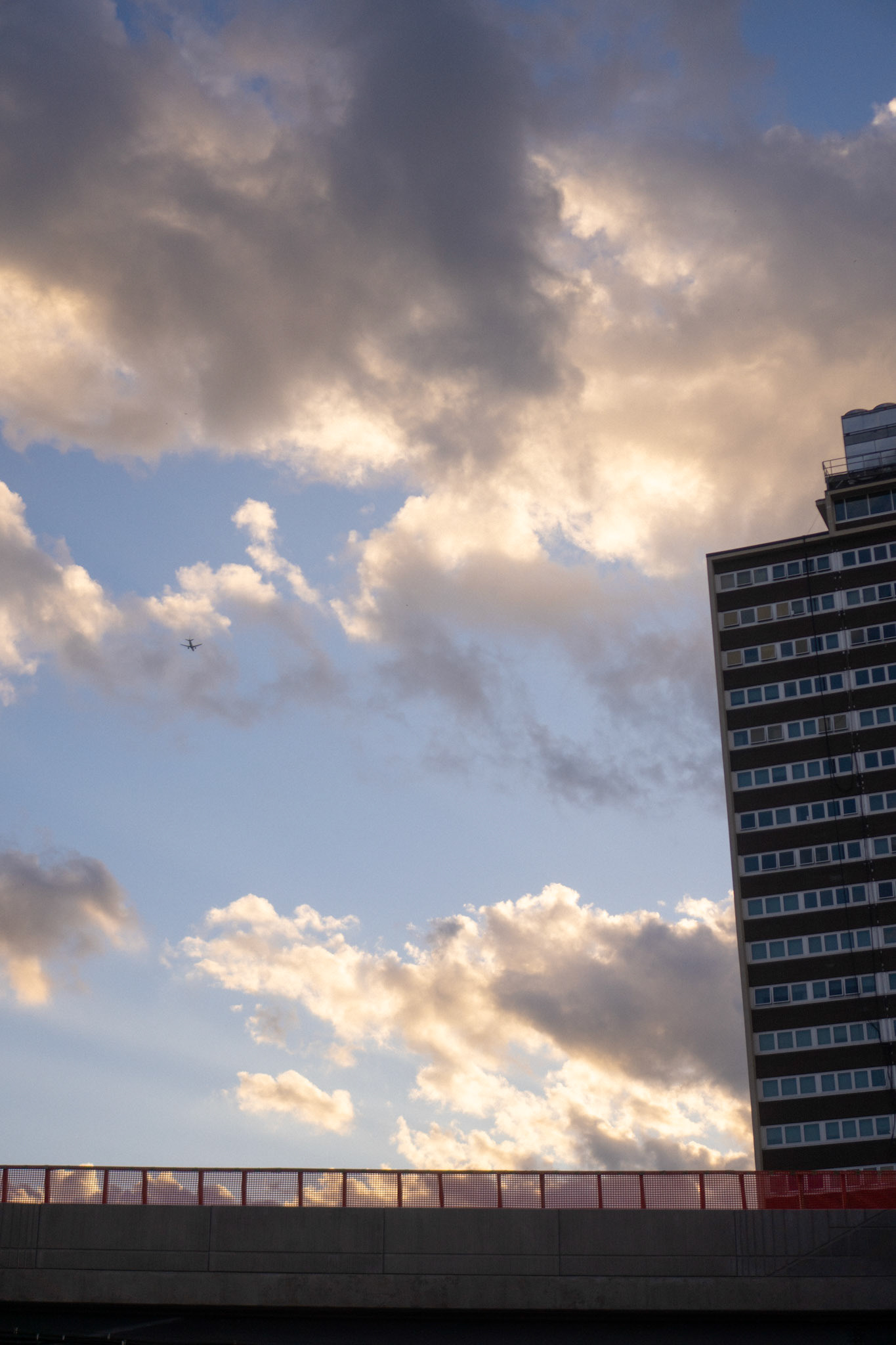 flying away, above it all