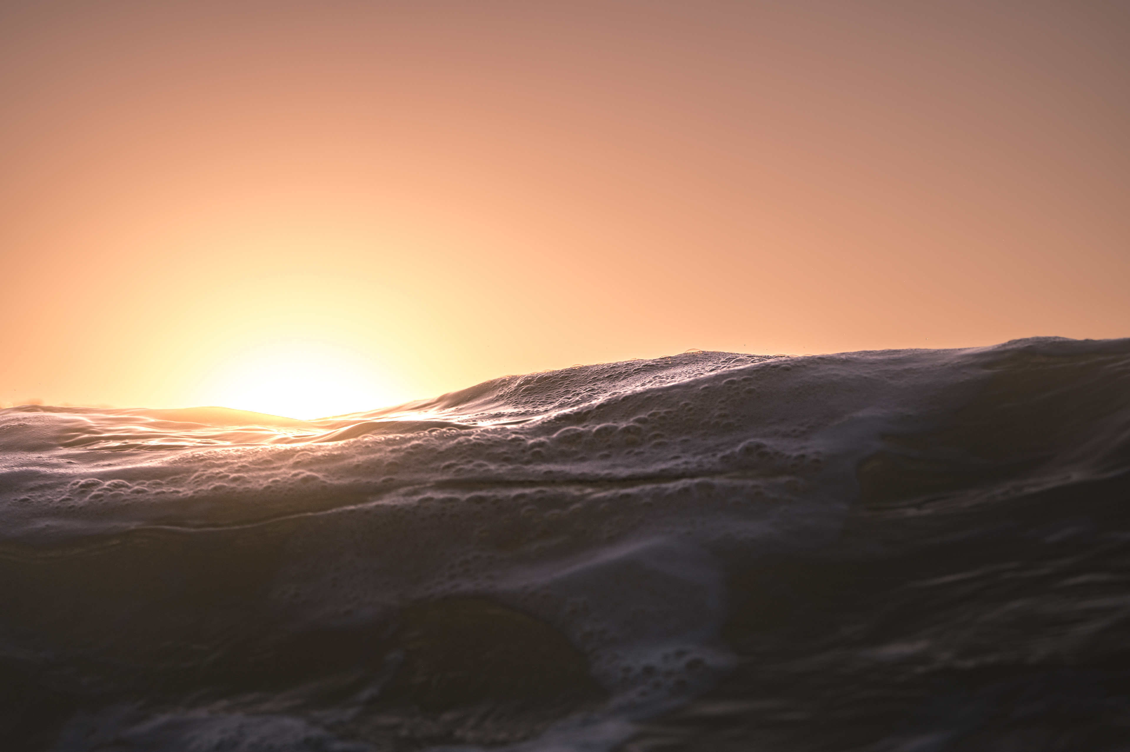 Sun Cork
