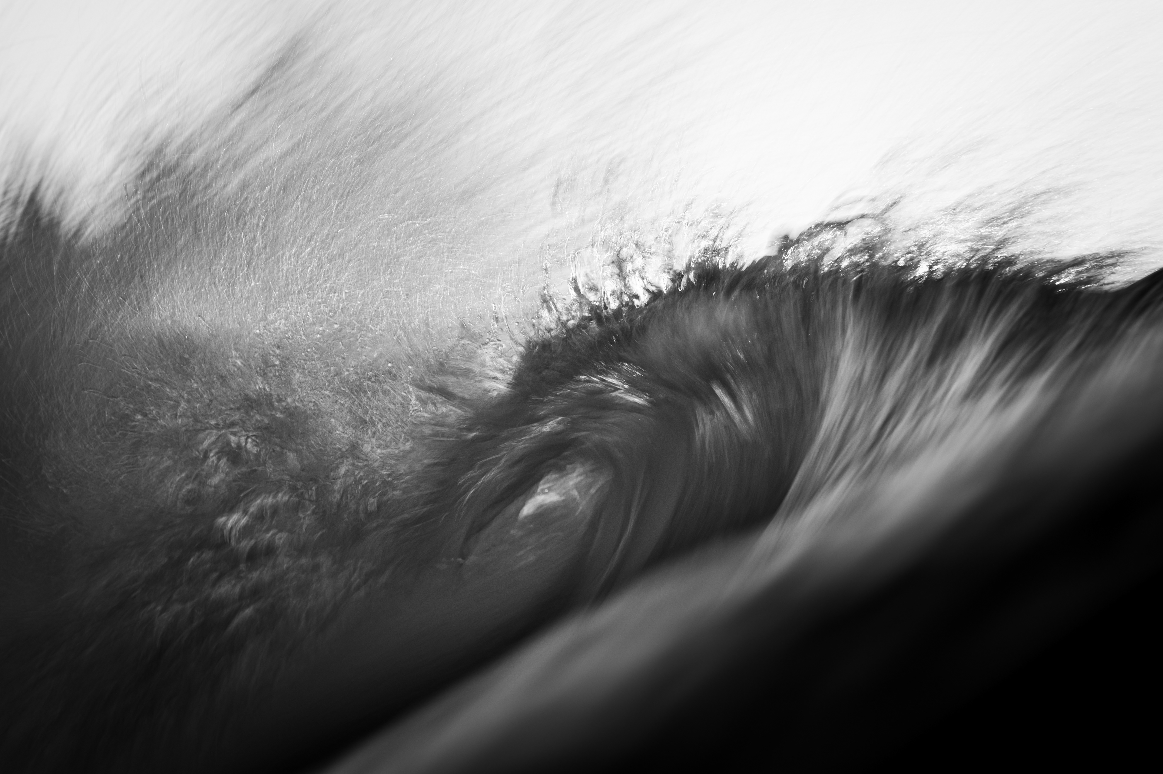Splash (BW)