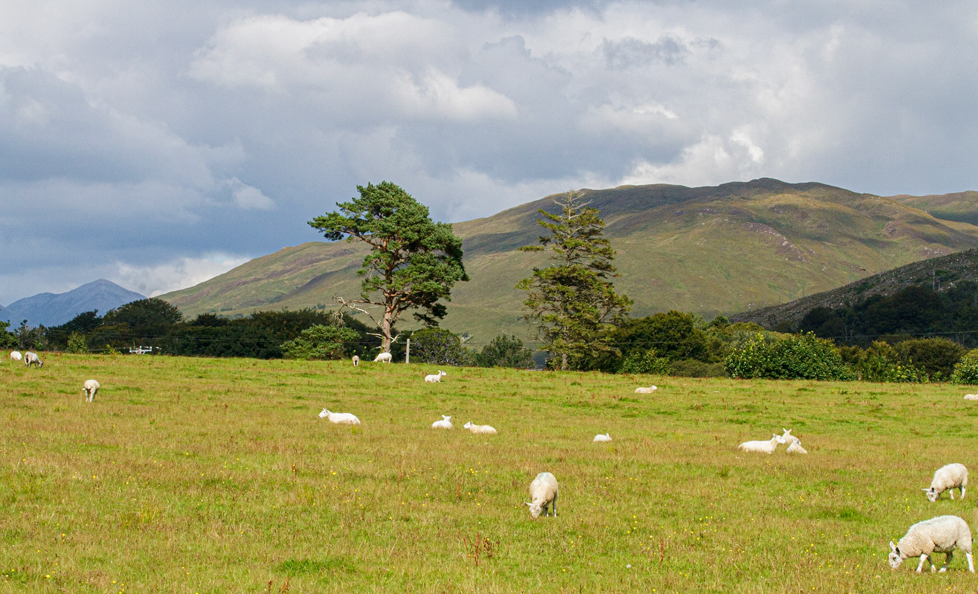 Omgeving Port Appin