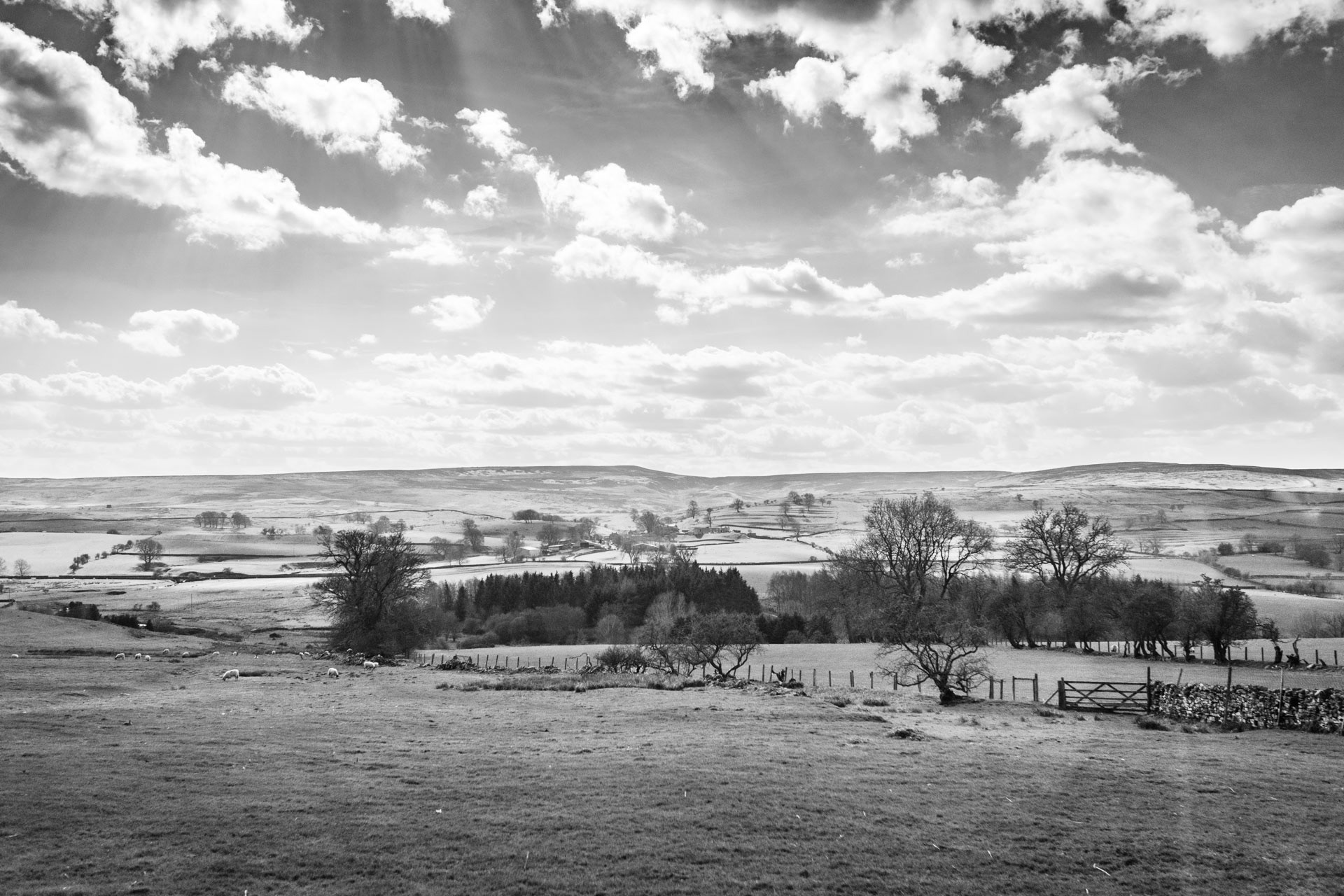 UK 06 BW