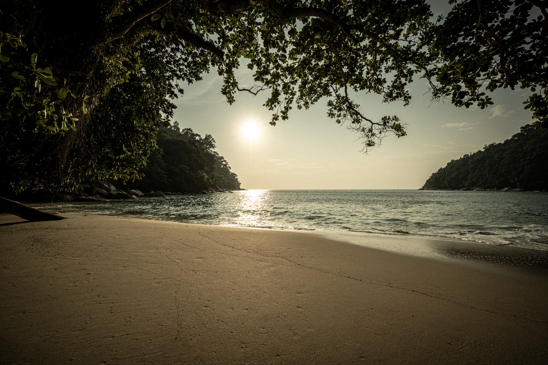Evening Paradise