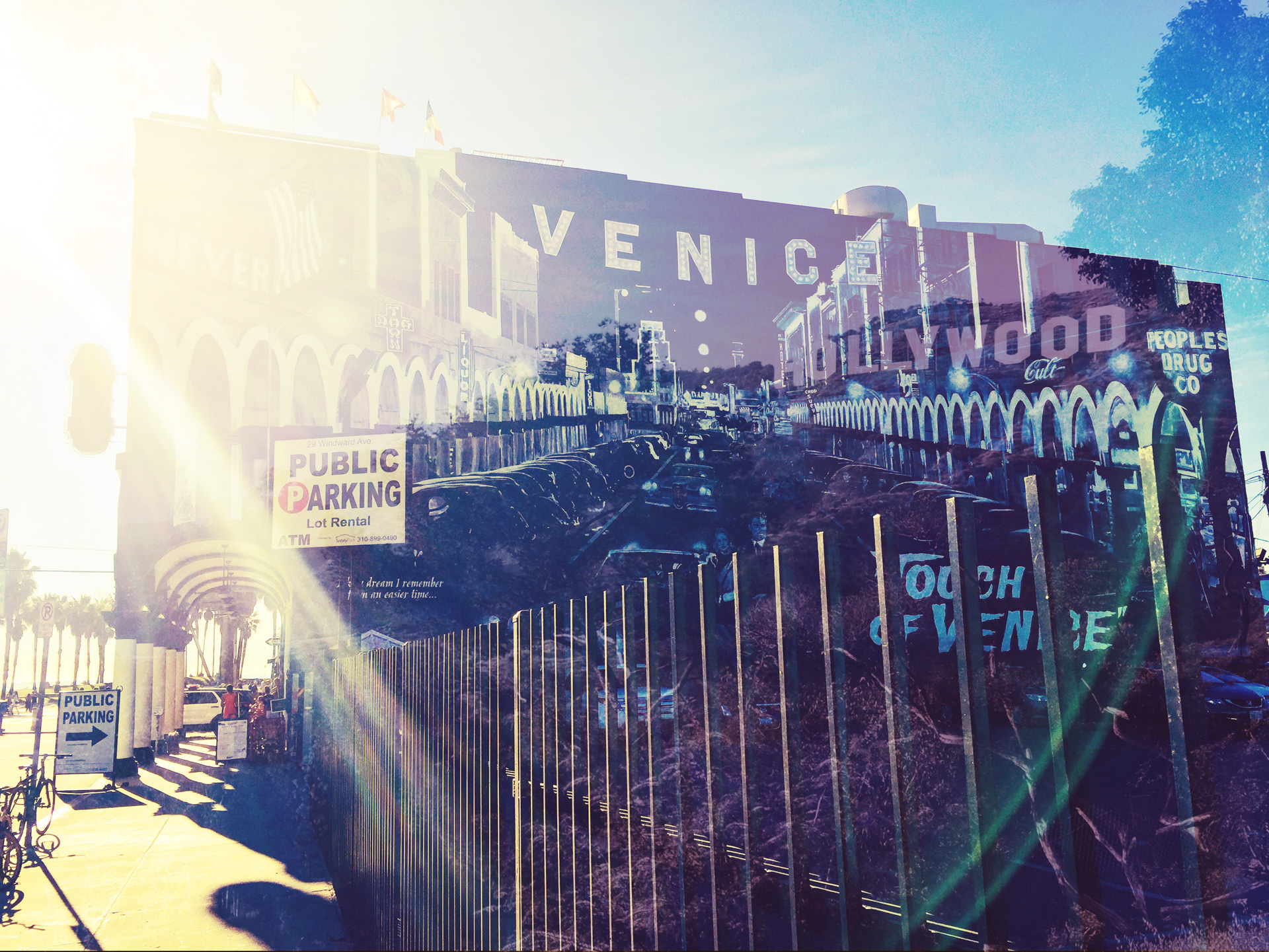 VENICE HILLS