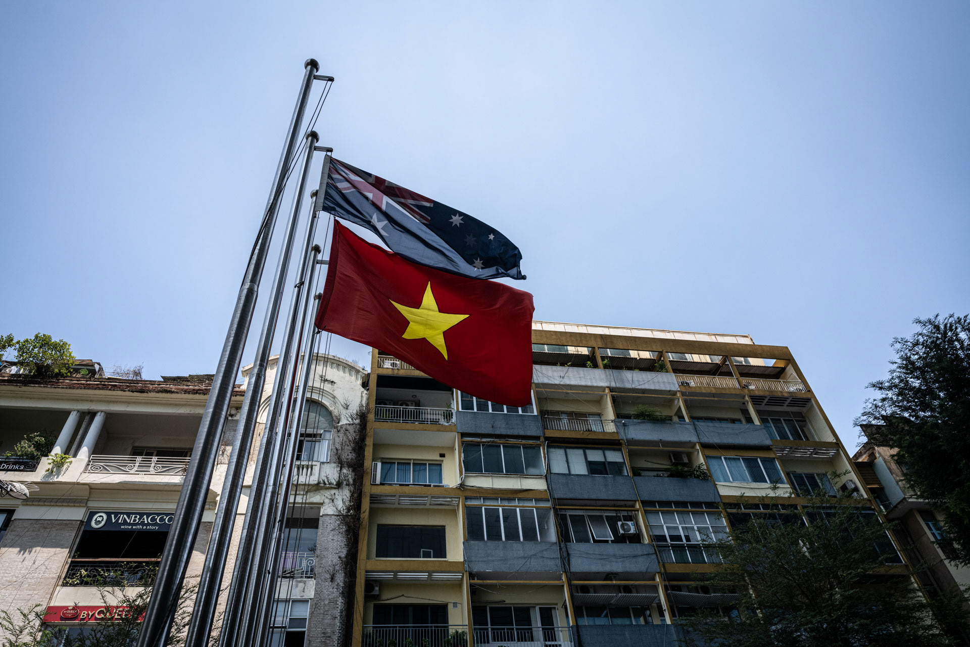vietnam flags