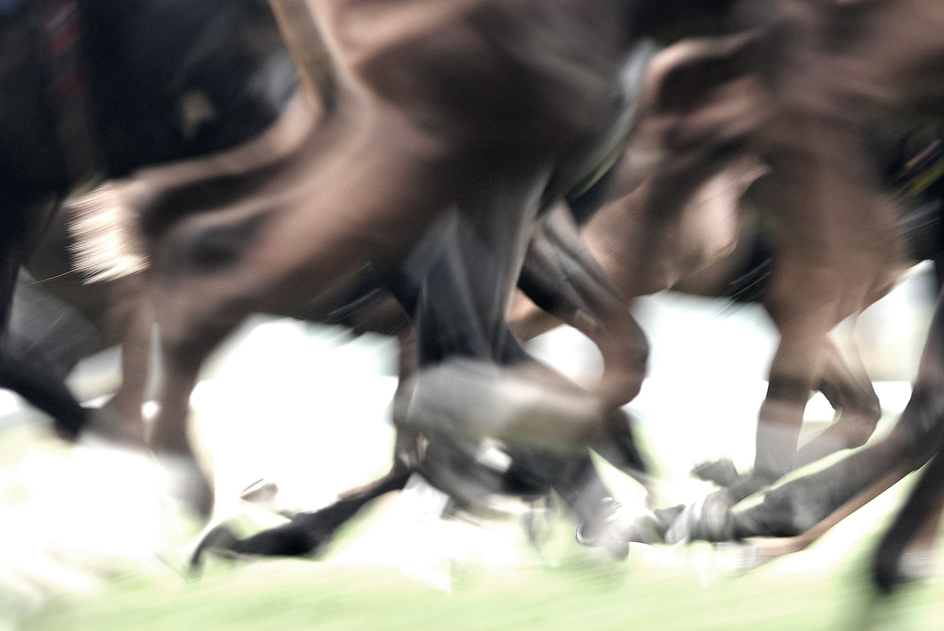 Horses in motion