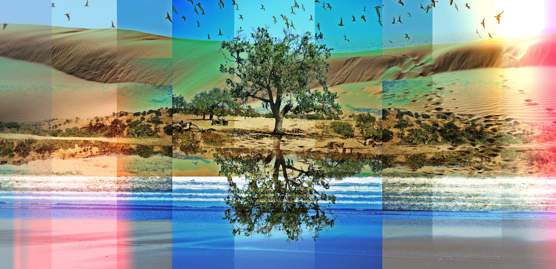 OASIS