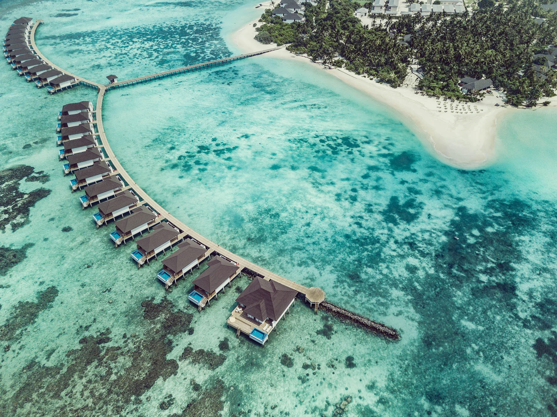 Tropical Retreat View