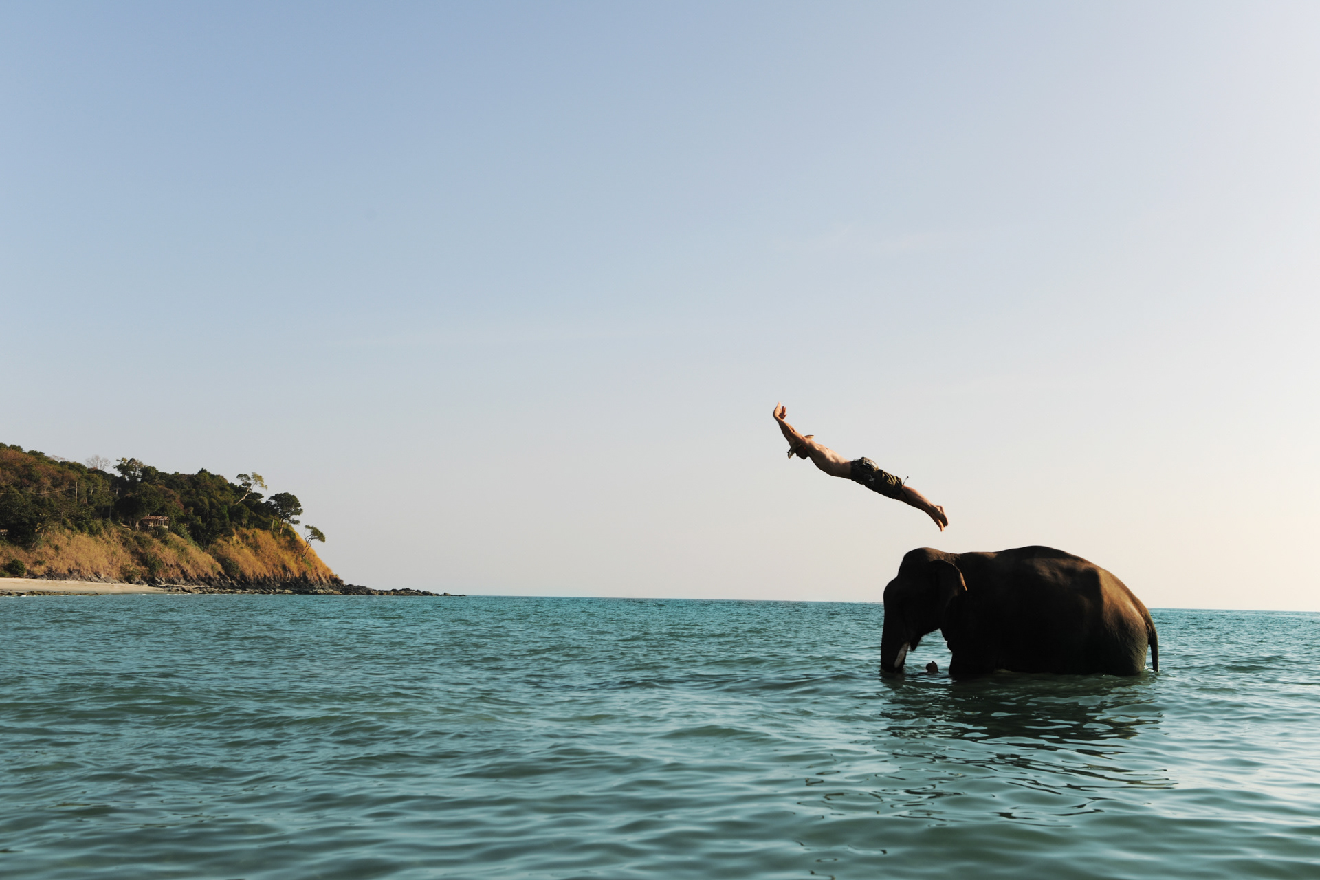 Elephant's Leap