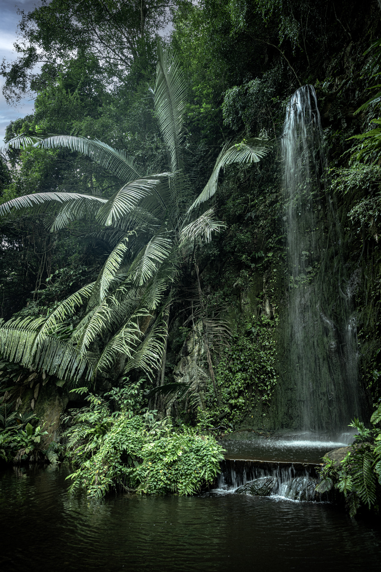     Tropical Waterfall
