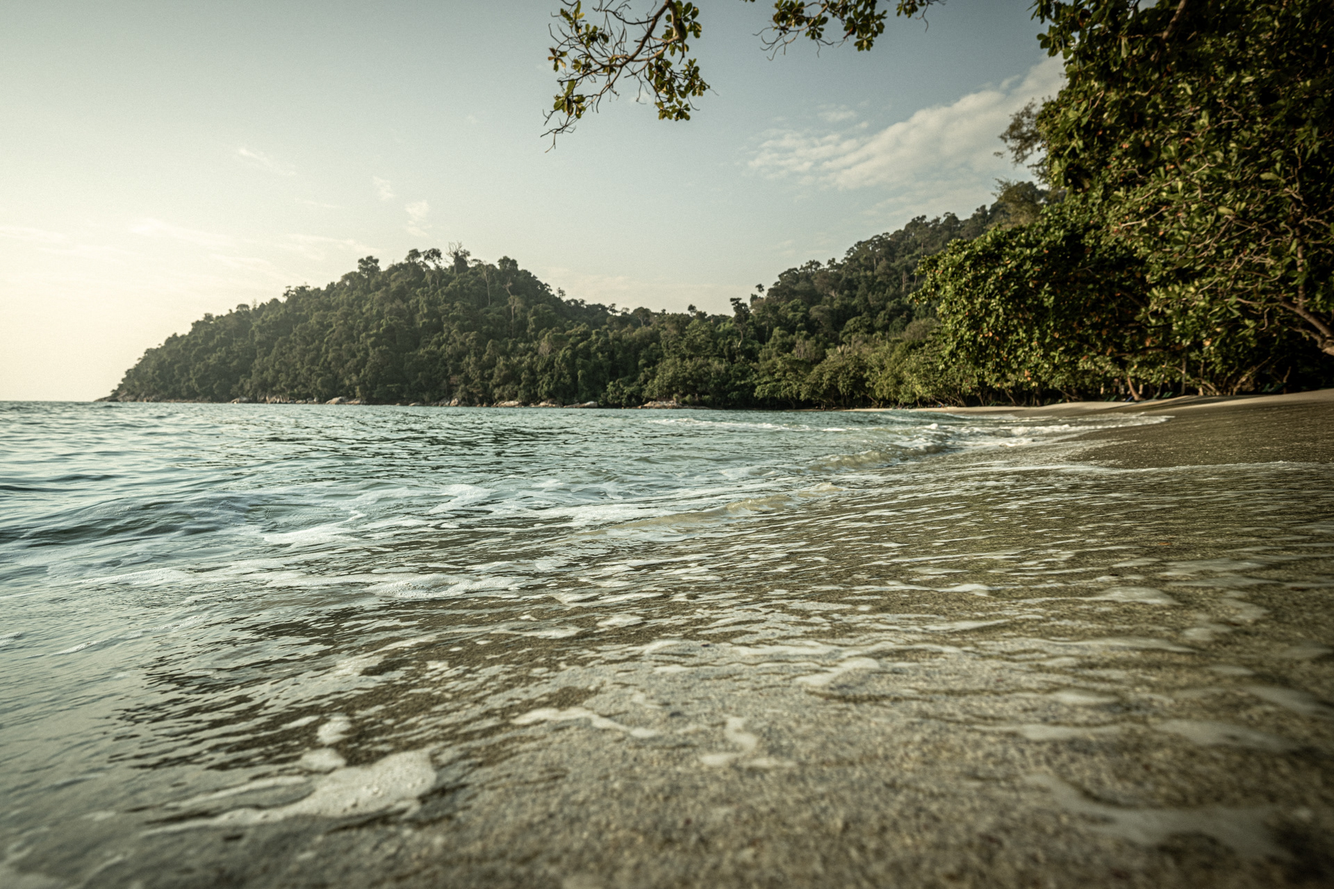 Paradise Bay